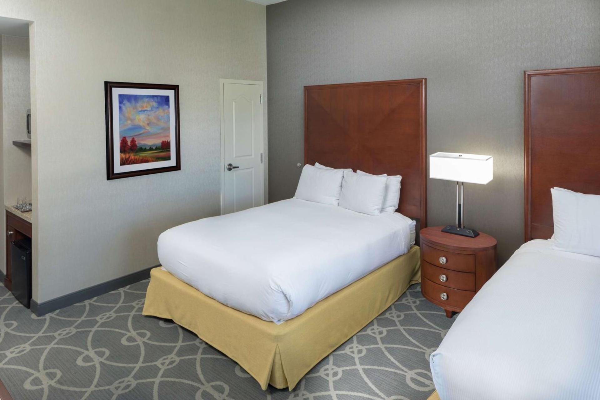 DoubleTree by Hilton Biltmore/Asheville photo 48