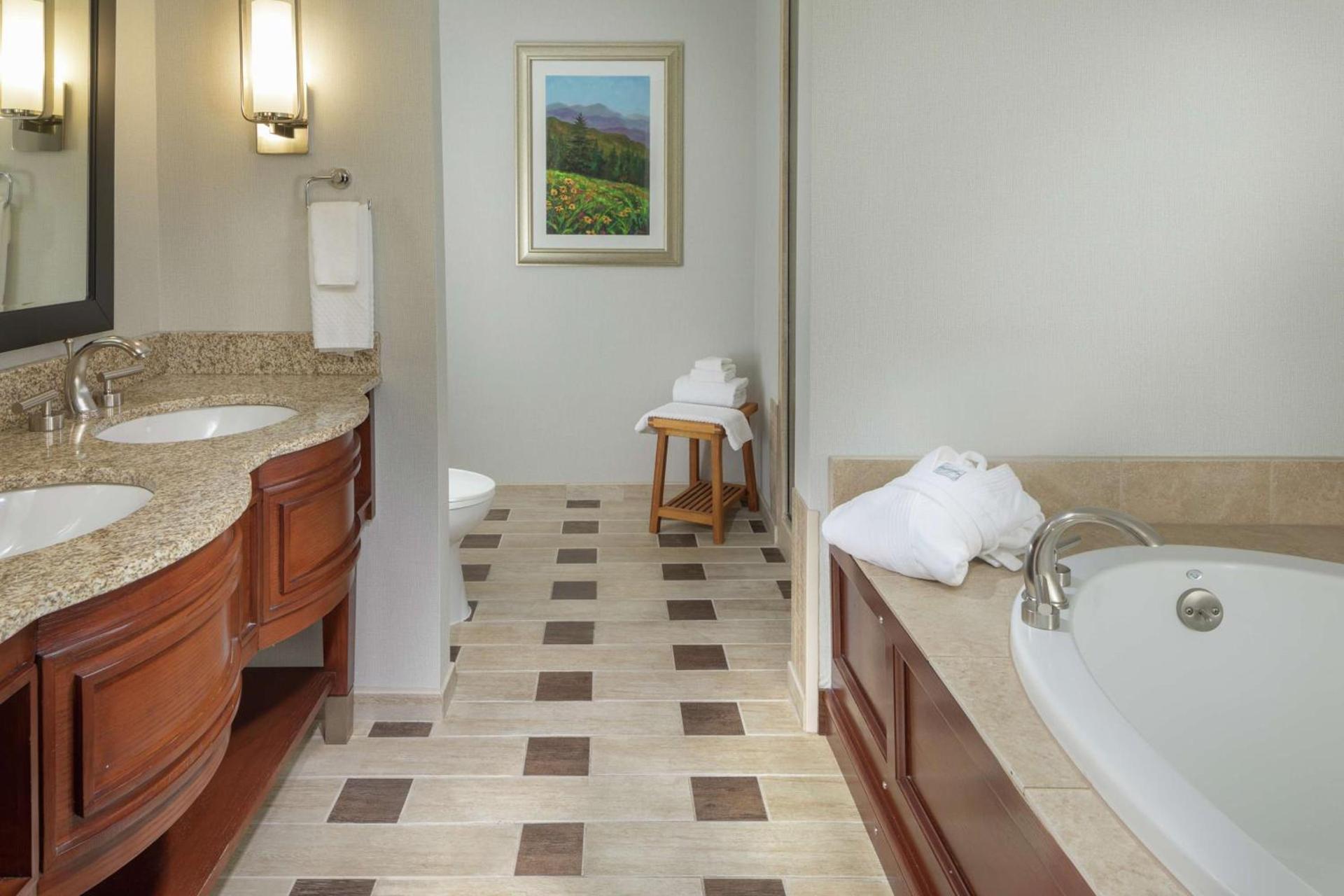 DoubleTree by Hilton Biltmore/Asheville photo 50