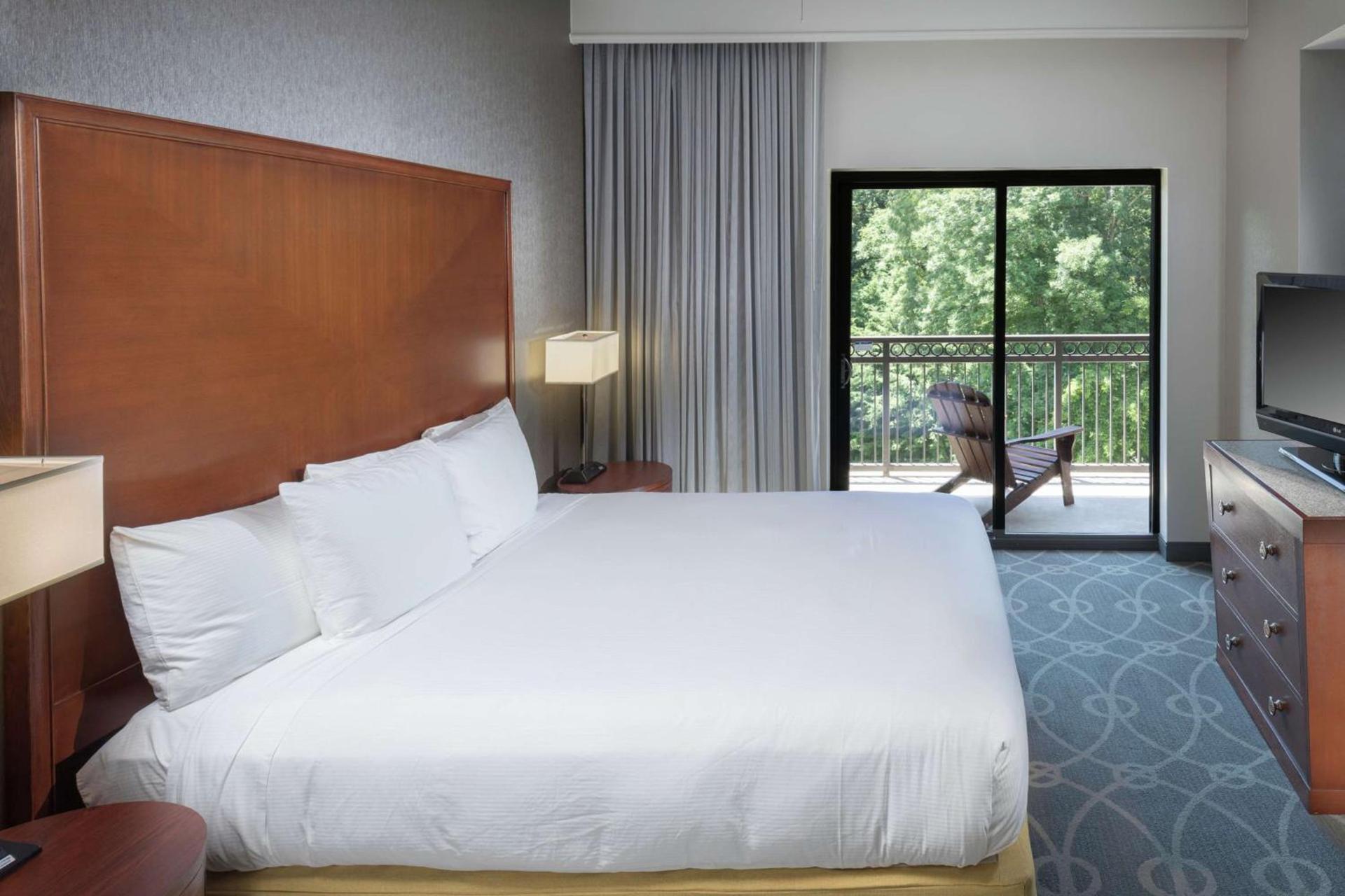 DoubleTree by Hilton Biltmore/Asheville photo 53