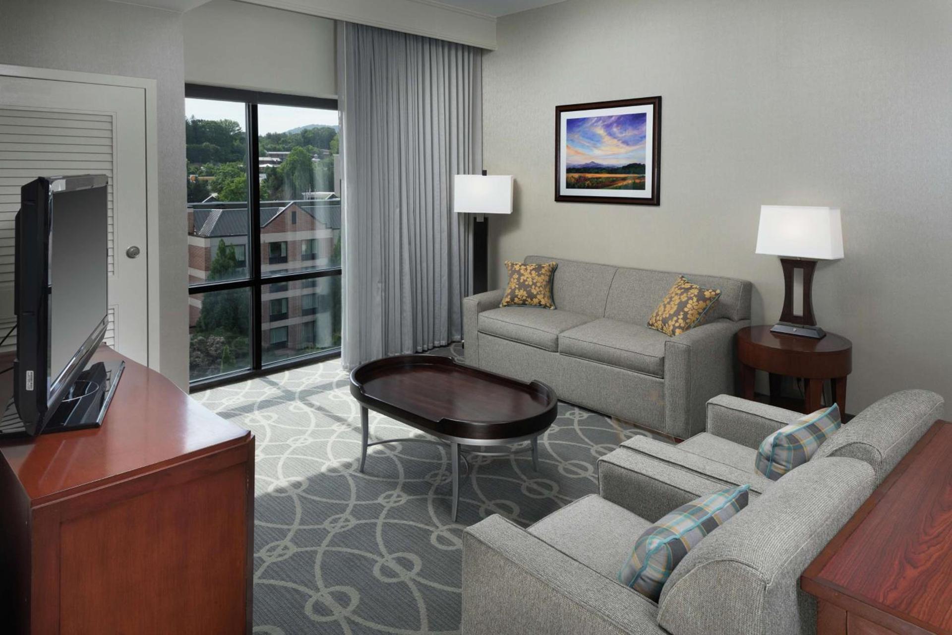 DoubleTree by Hilton Biltmore/Asheville photo 55