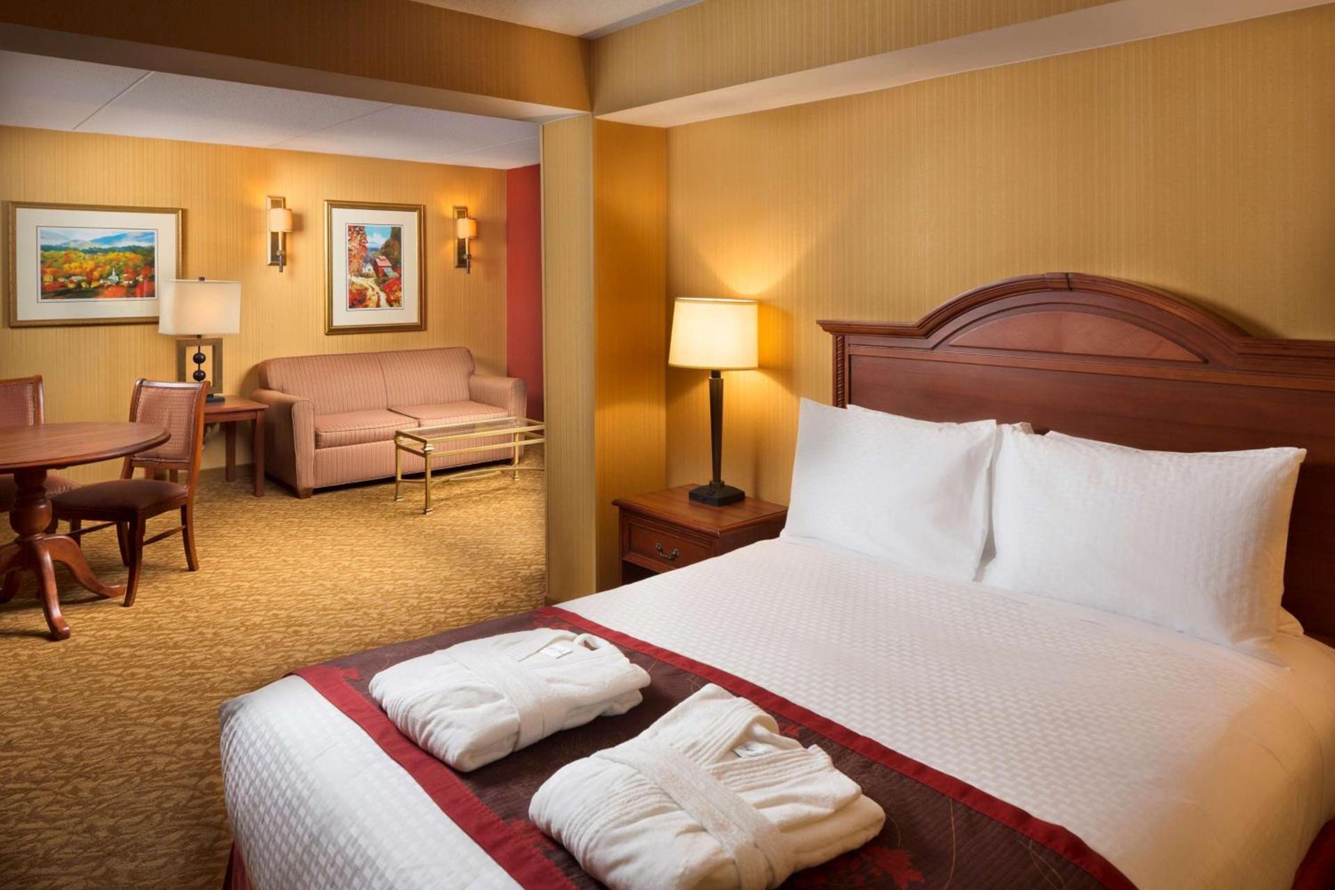 DoubleTree by Hilton Biltmore/Asheville photo 66