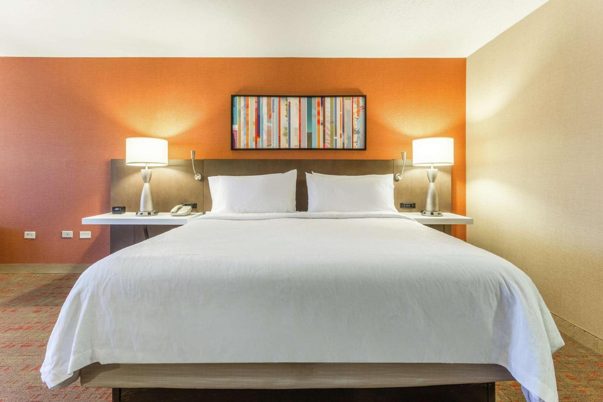 Hilton Garden Inn Chicago/Tinley Park photo 5