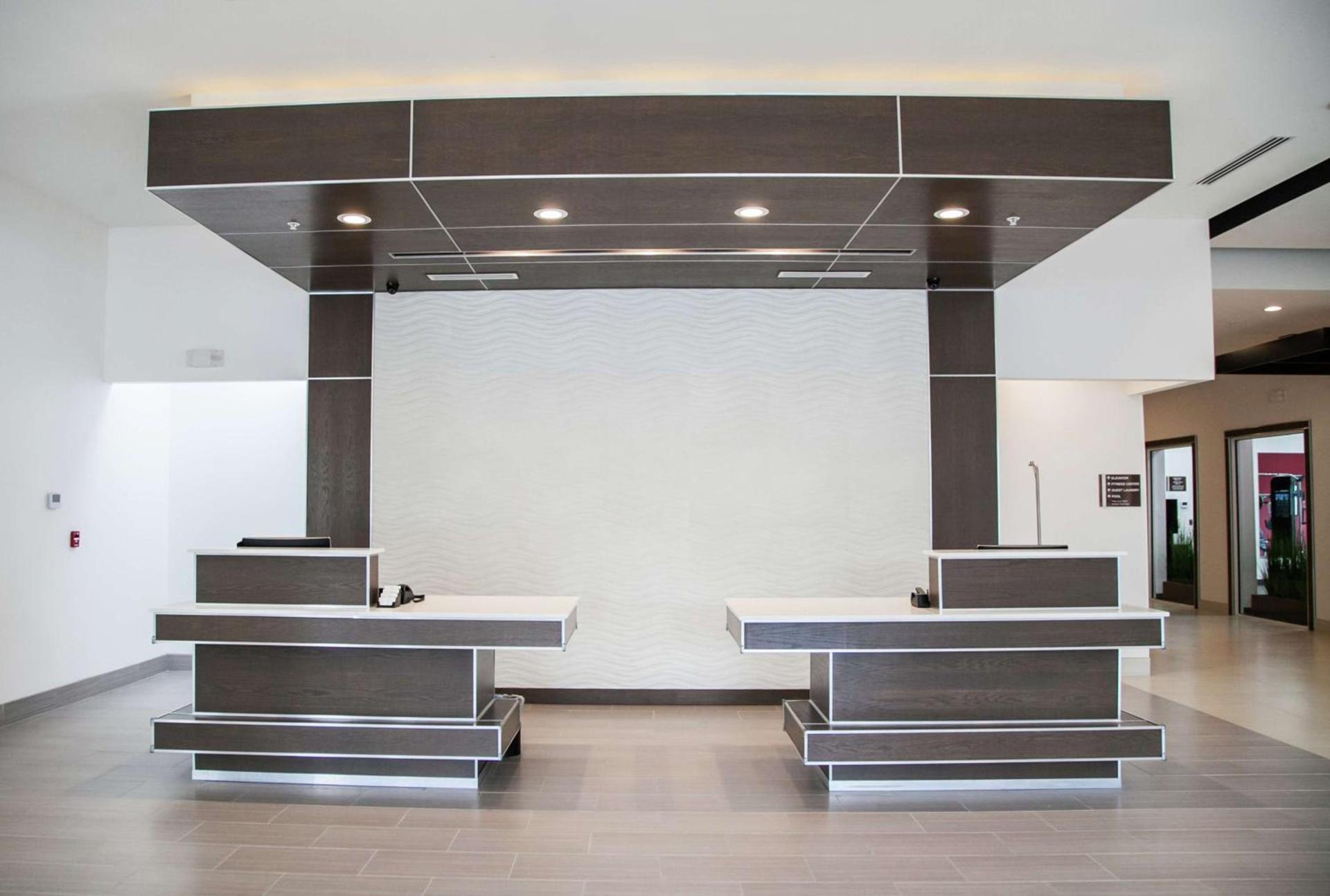 Hilton Garden Inn Tampa Suncoast Parkway photo 3
