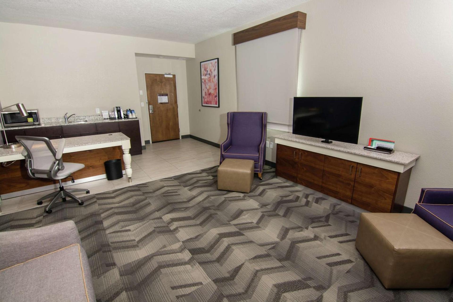 Hilton Garden Inn Tampa Suncoast Parkway photo 8