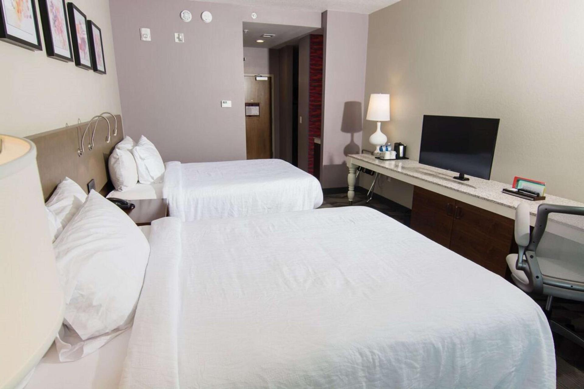 Hilton Garden Inn Tampa Suncoast Parkway photo 11