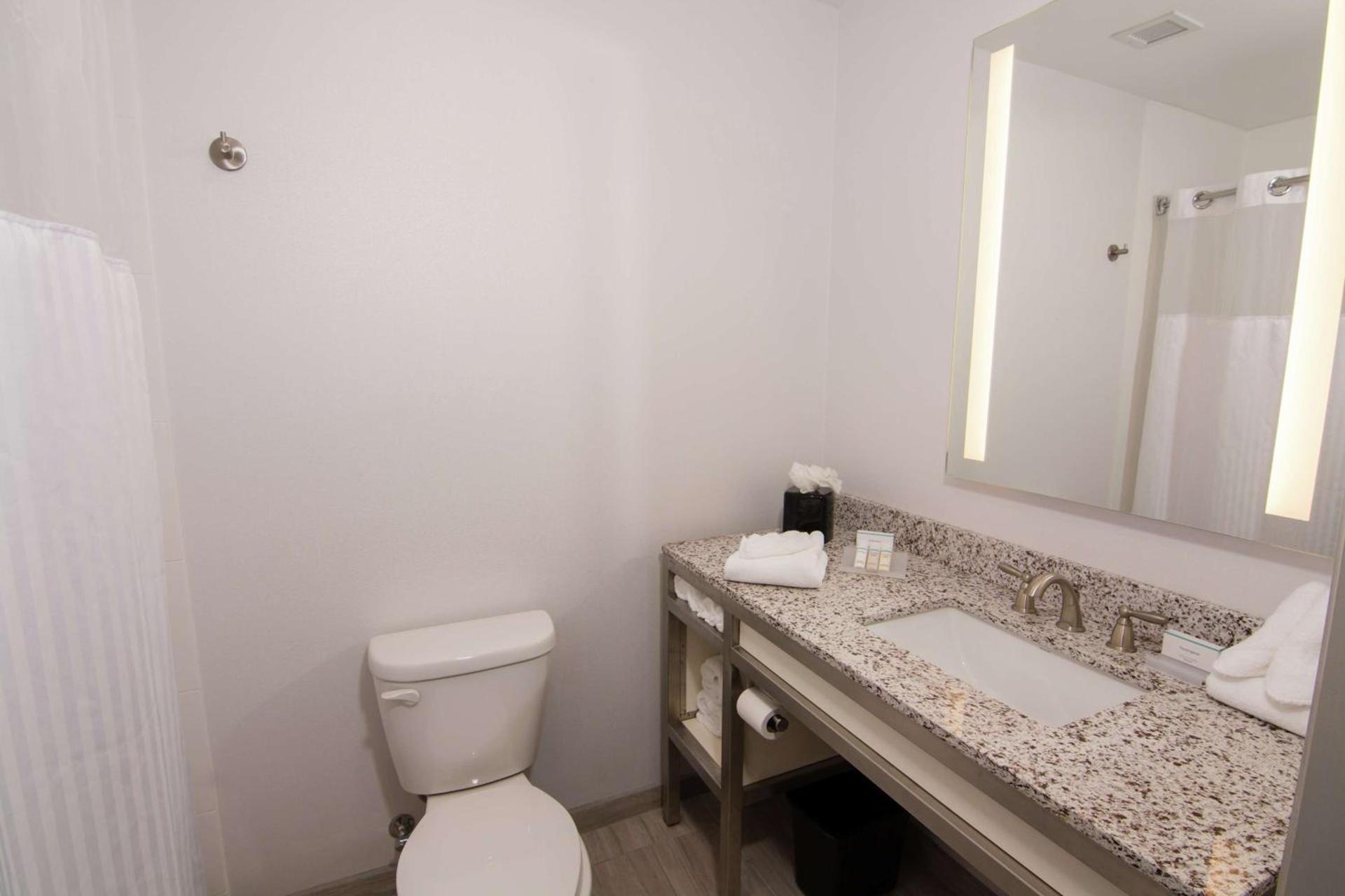 Hilton Garden Inn Tampa Suncoast Parkway photo 14