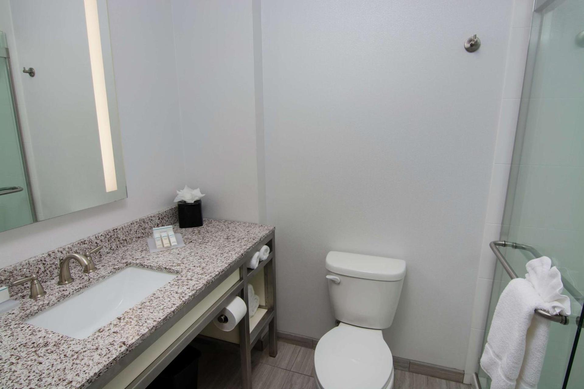 Hilton Garden Inn Tampa Suncoast Parkway photo 16