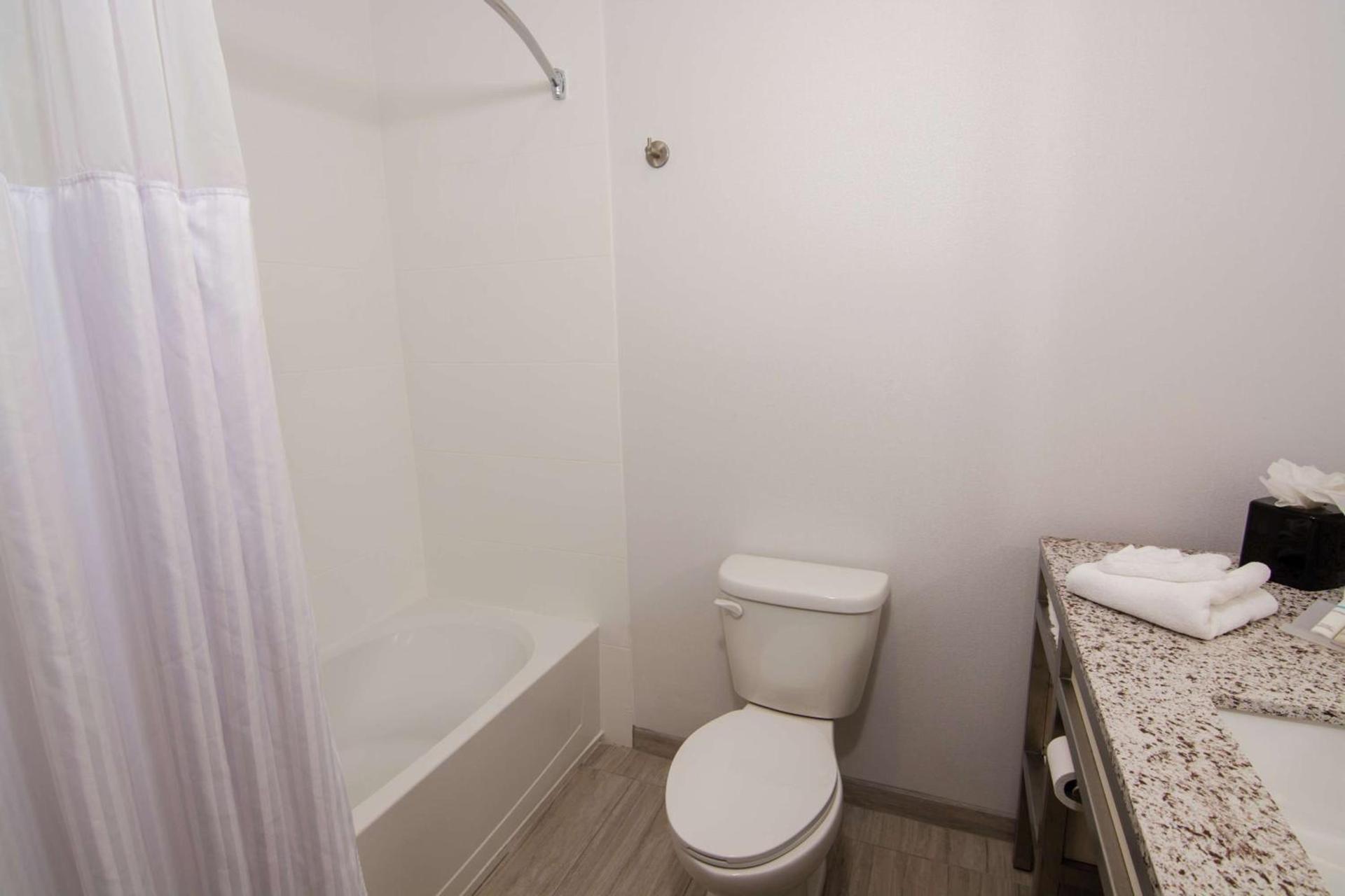 Hilton Garden Inn Tampa Suncoast Parkway photo 17