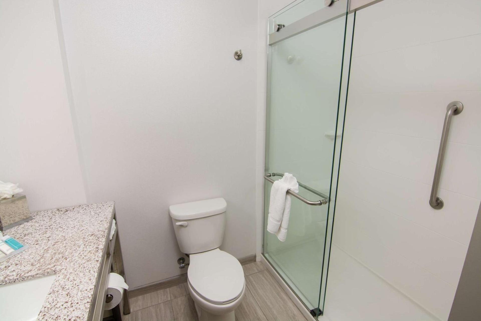 Hilton Garden Inn Tampa Suncoast Parkway photo 20