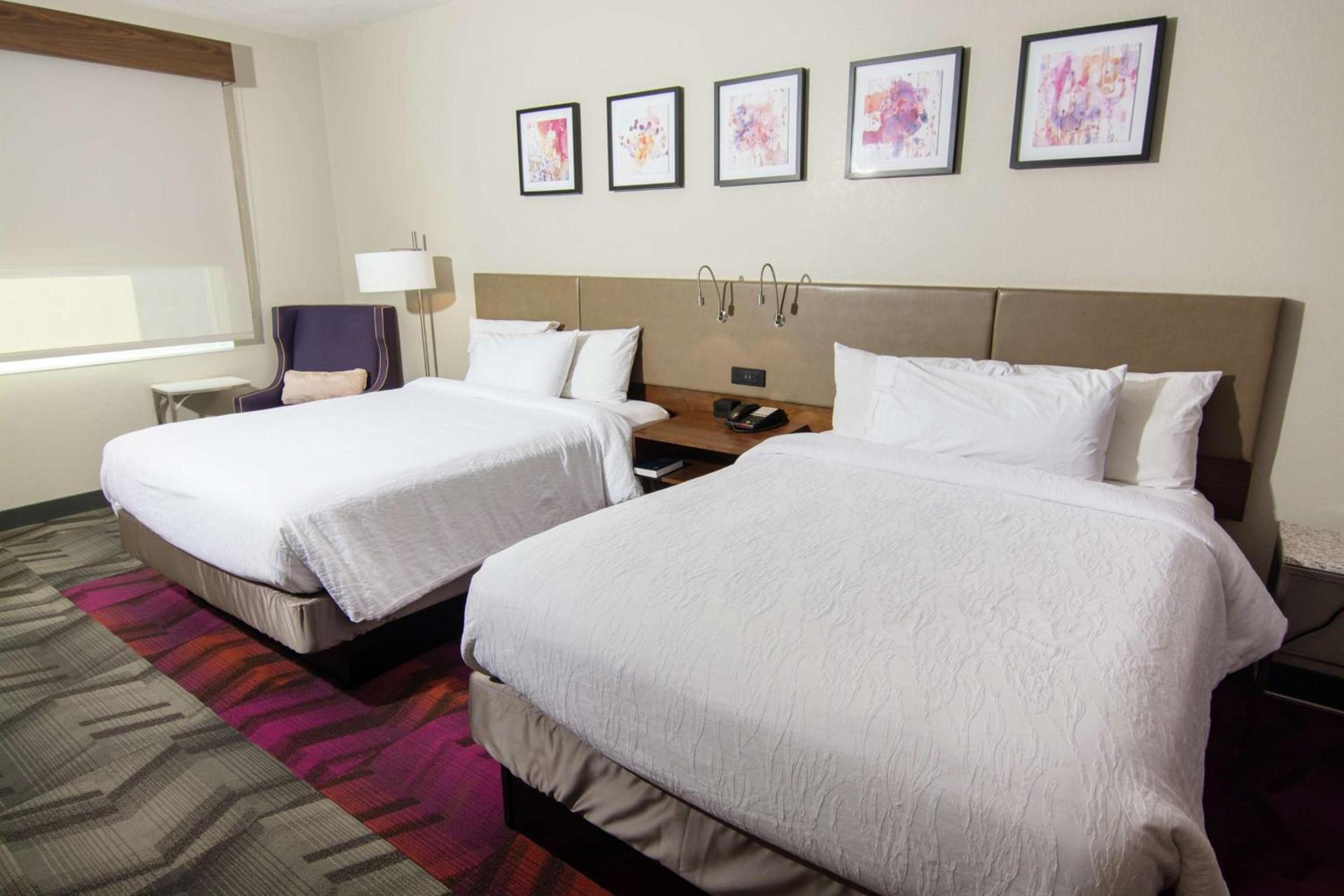 Hilton Garden Inn Tampa Suncoast Parkway photo 26