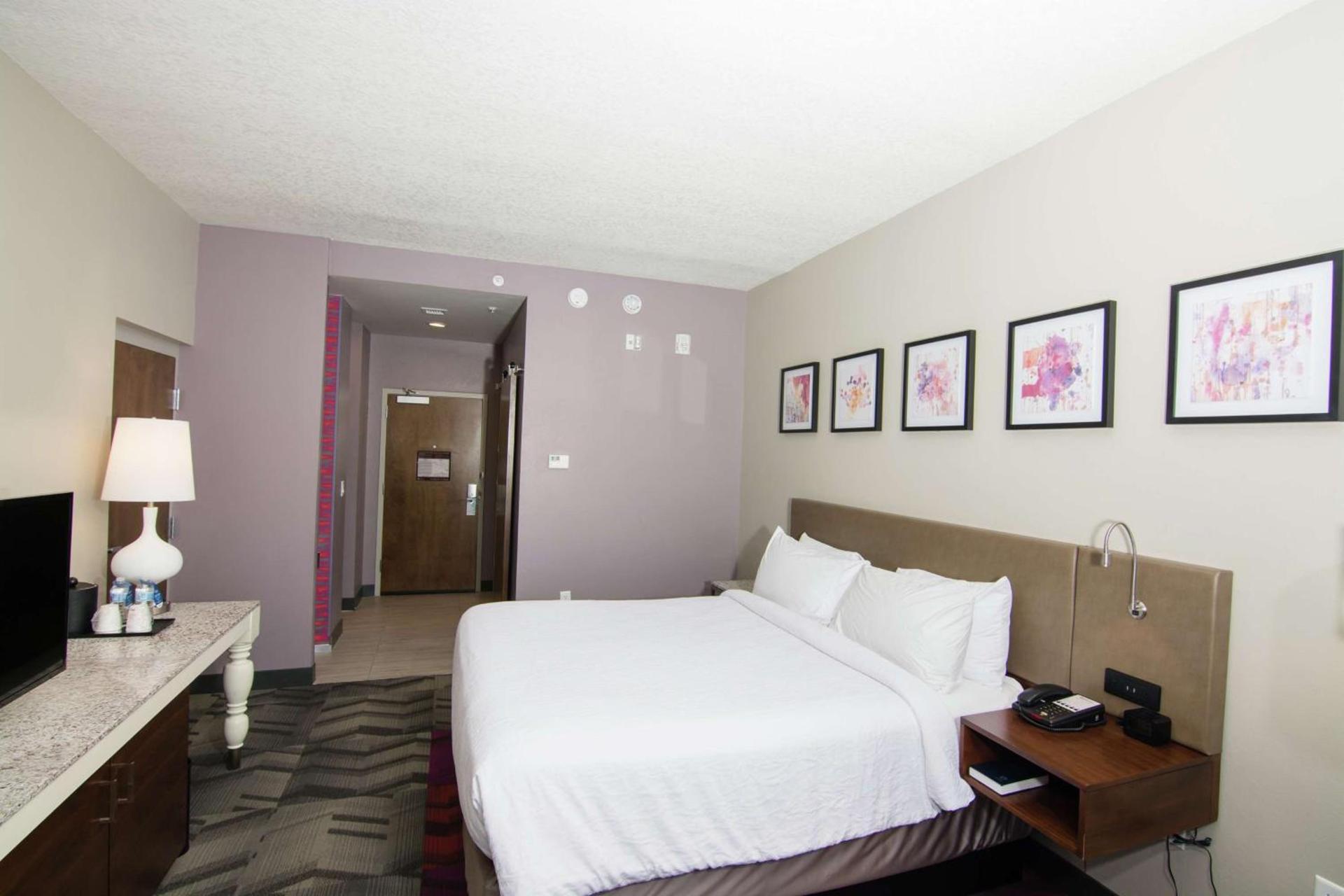 Hilton Garden Inn Tampa Suncoast Parkway photo 32