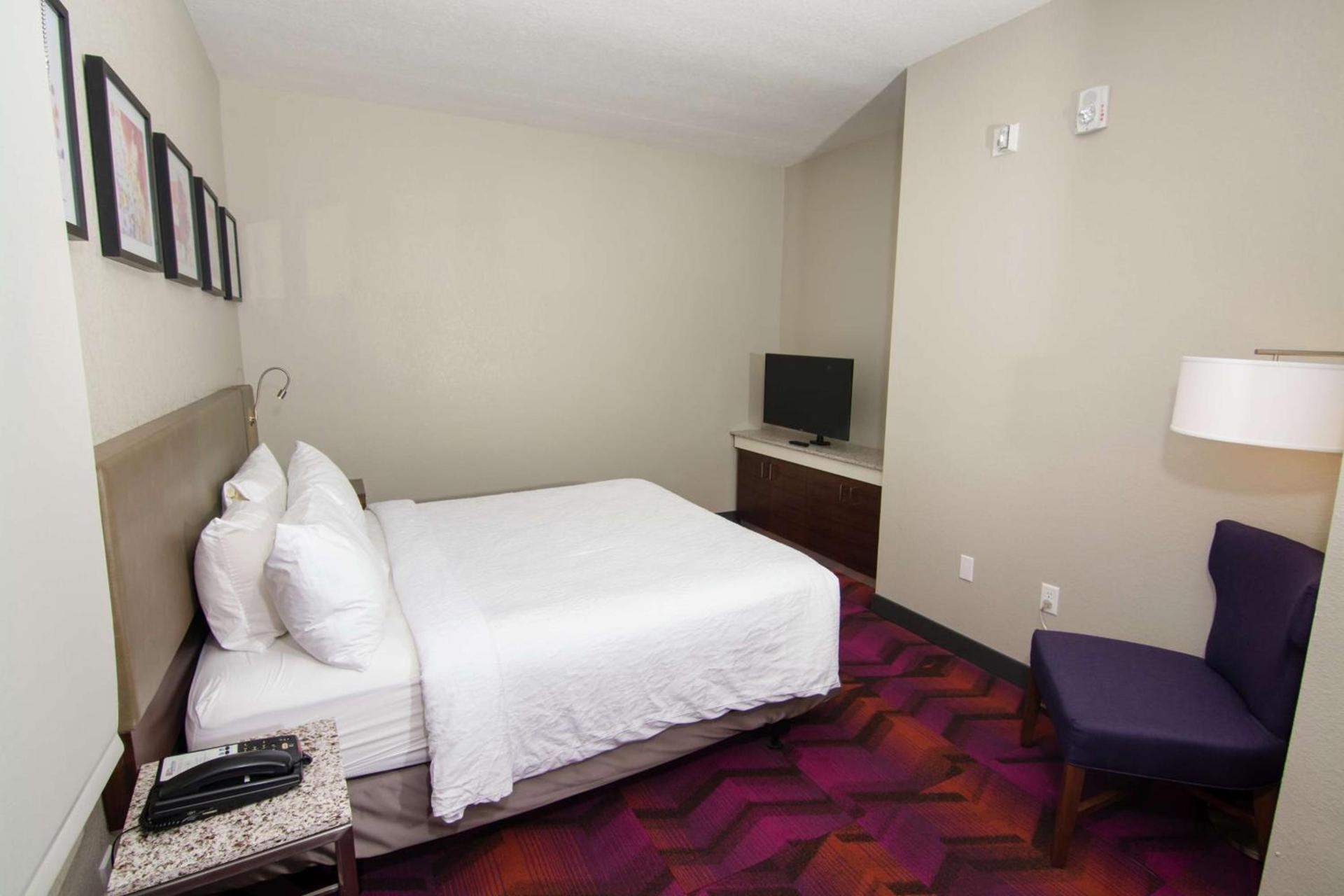 Hilton Garden Inn Tampa Suncoast Parkway photo 33