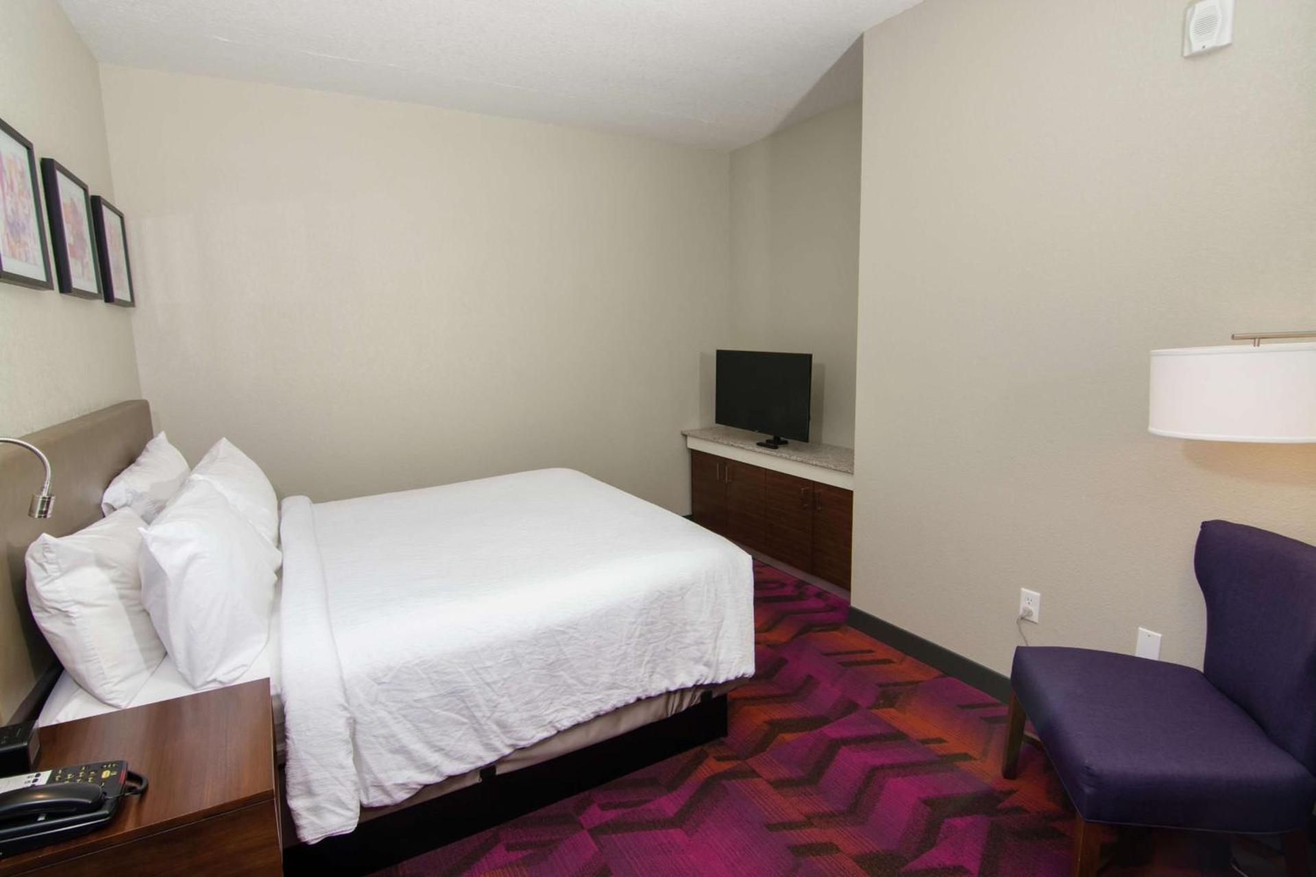 Hilton Garden Inn Tampa Suncoast Parkway photo 34