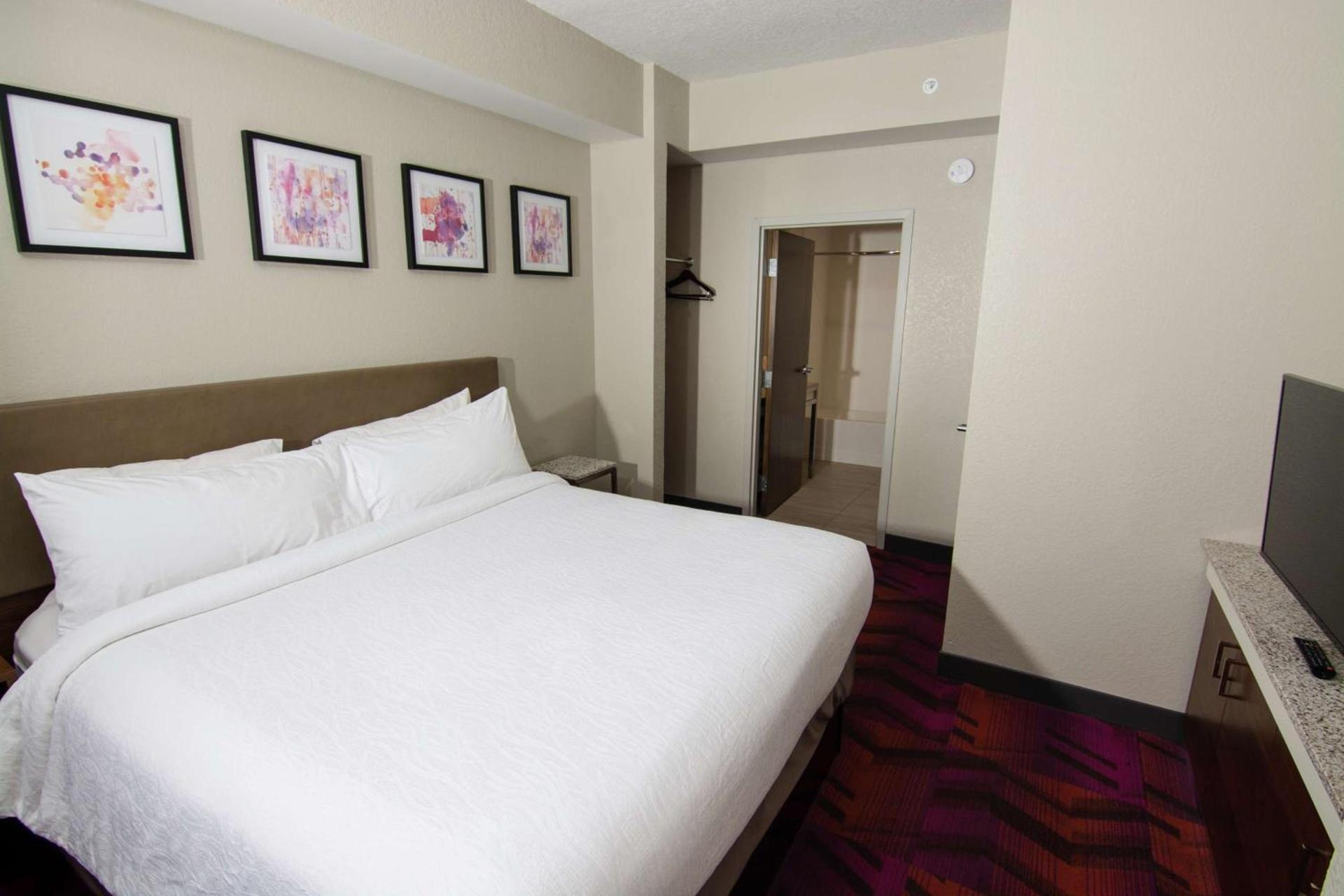 Hilton Garden Inn Tampa Suncoast Parkway photo 35