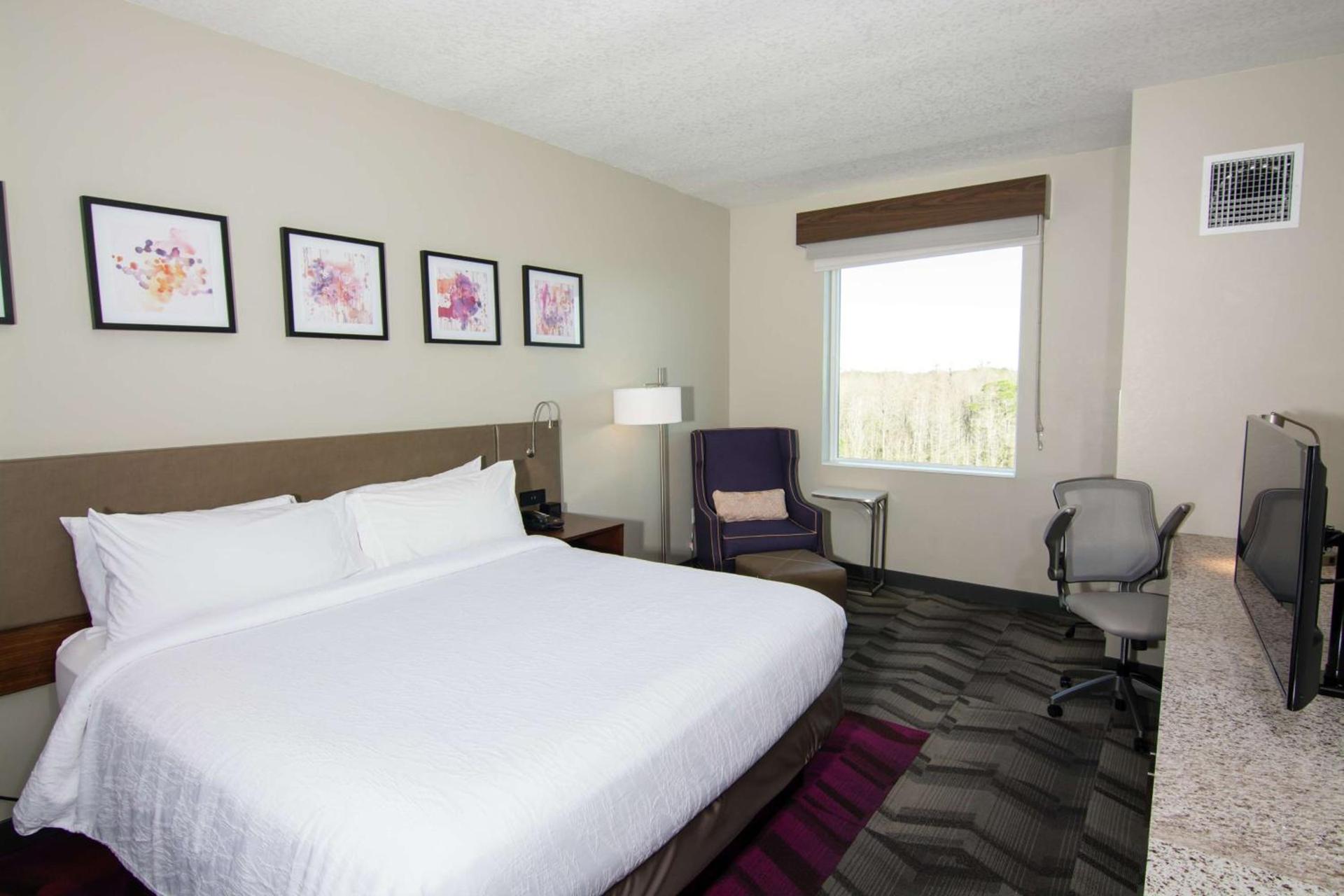 Hilton Garden Inn Tampa Suncoast Parkway photo 38
