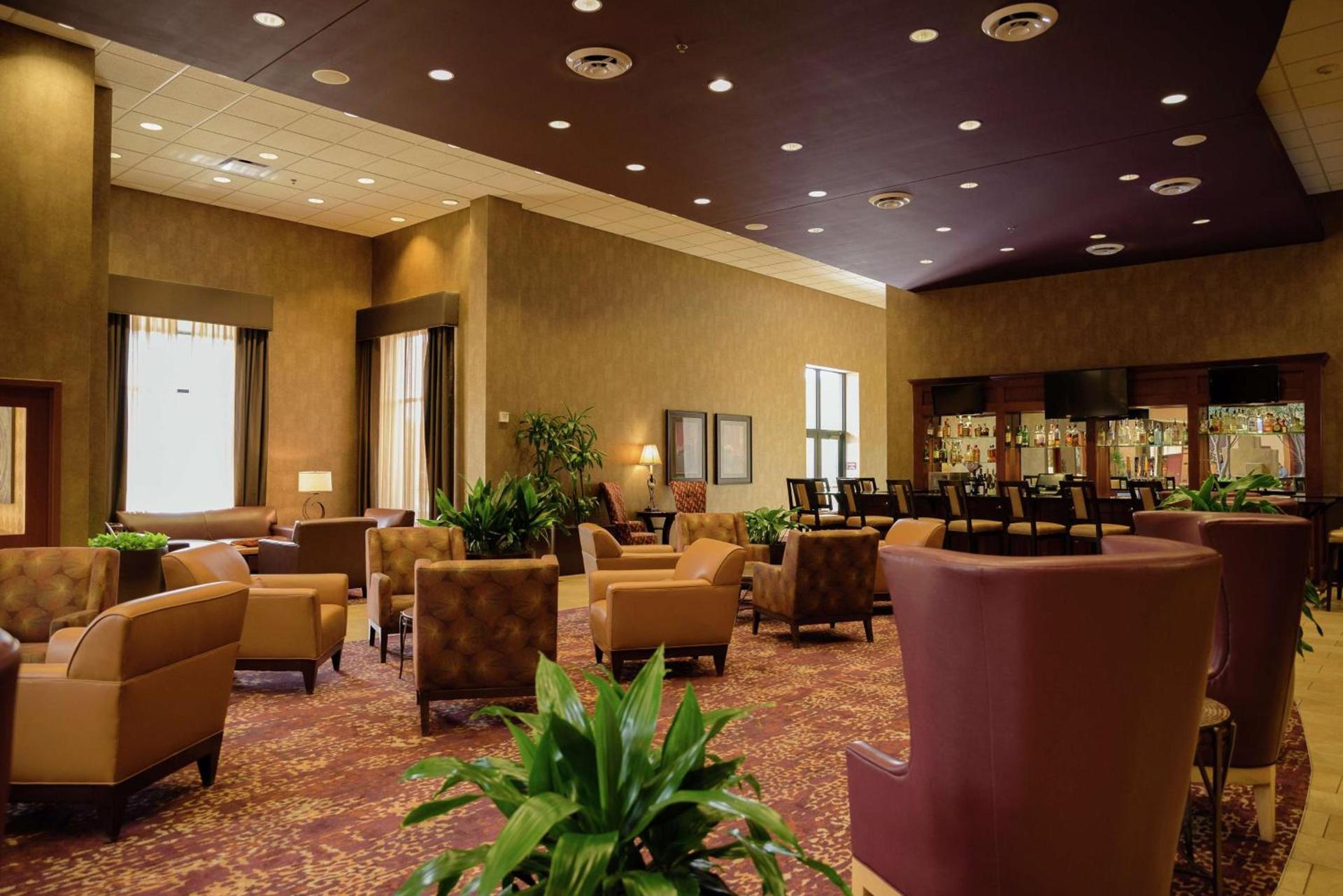 Embassy Suites by Hilton Minneapolis North photo 4