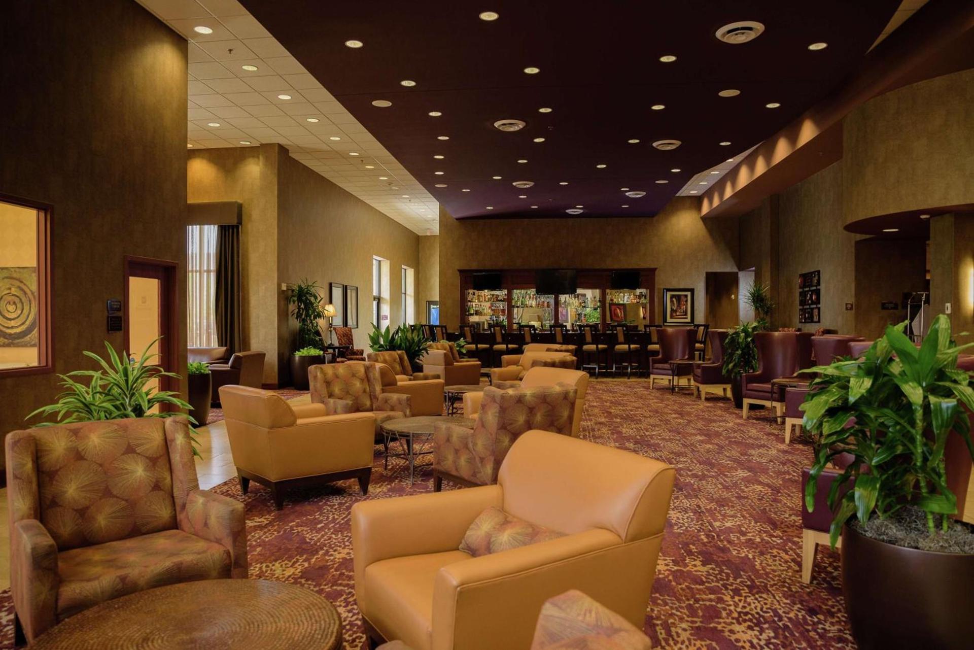 Embassy Suites by Hilton Minneapolis North photo 3