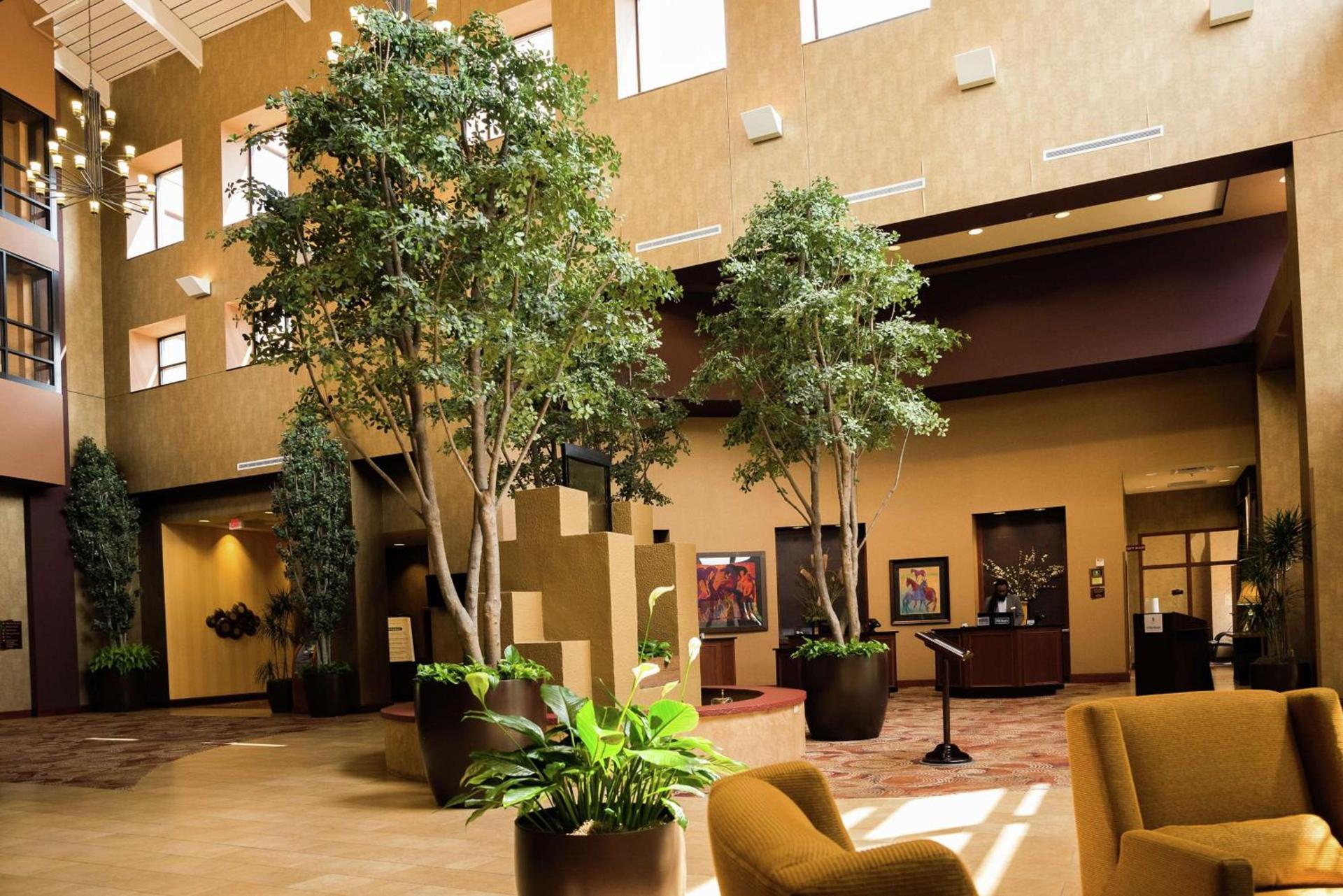 Embassy Suites by Hilton Minneapolis North photo 5