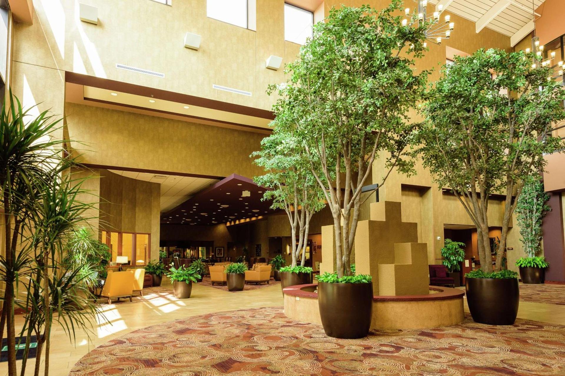 Embassy Suites by Hilton Minneapolis North photo 6