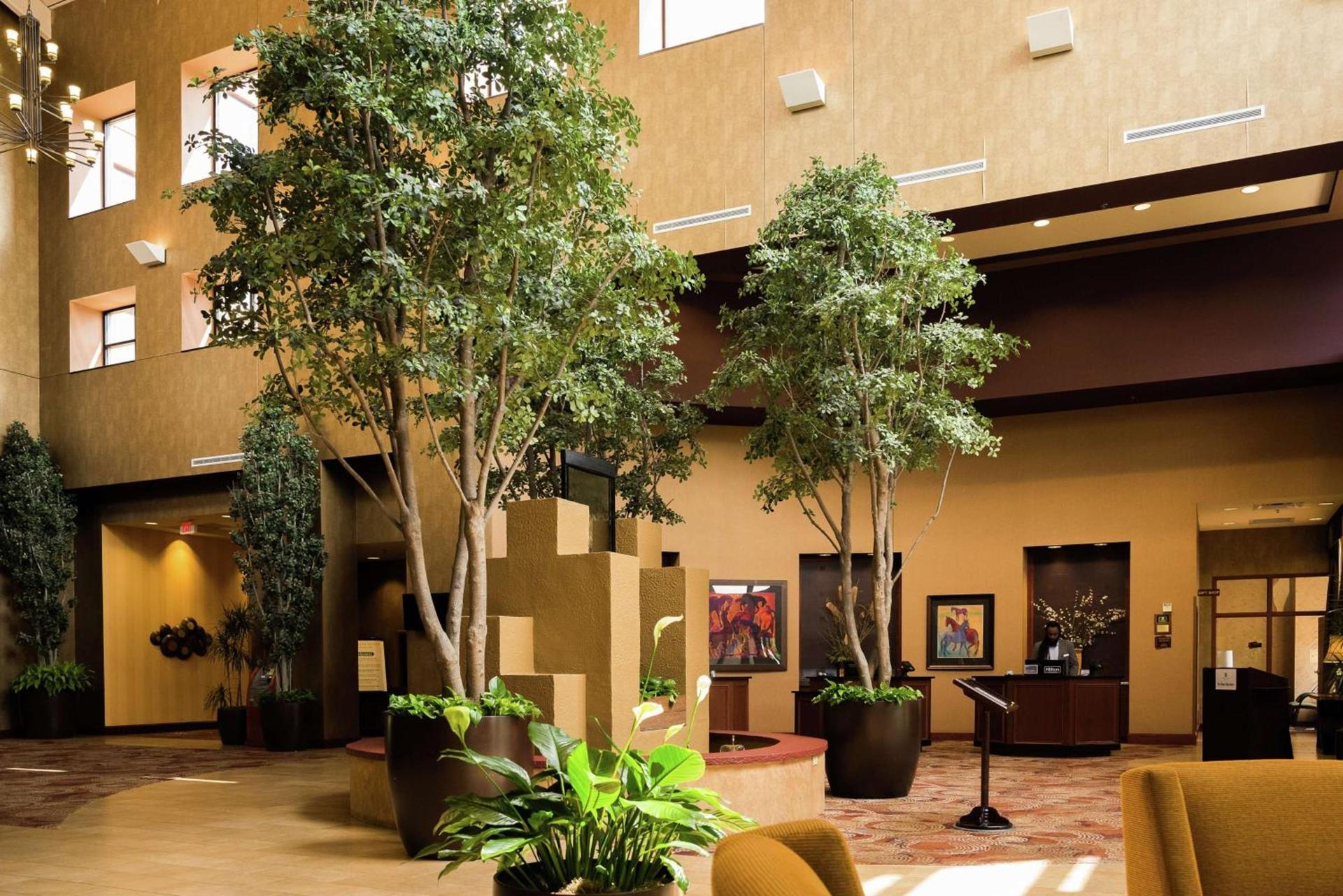 Embassy Suites by Hilton Minneapolis North photo 9
