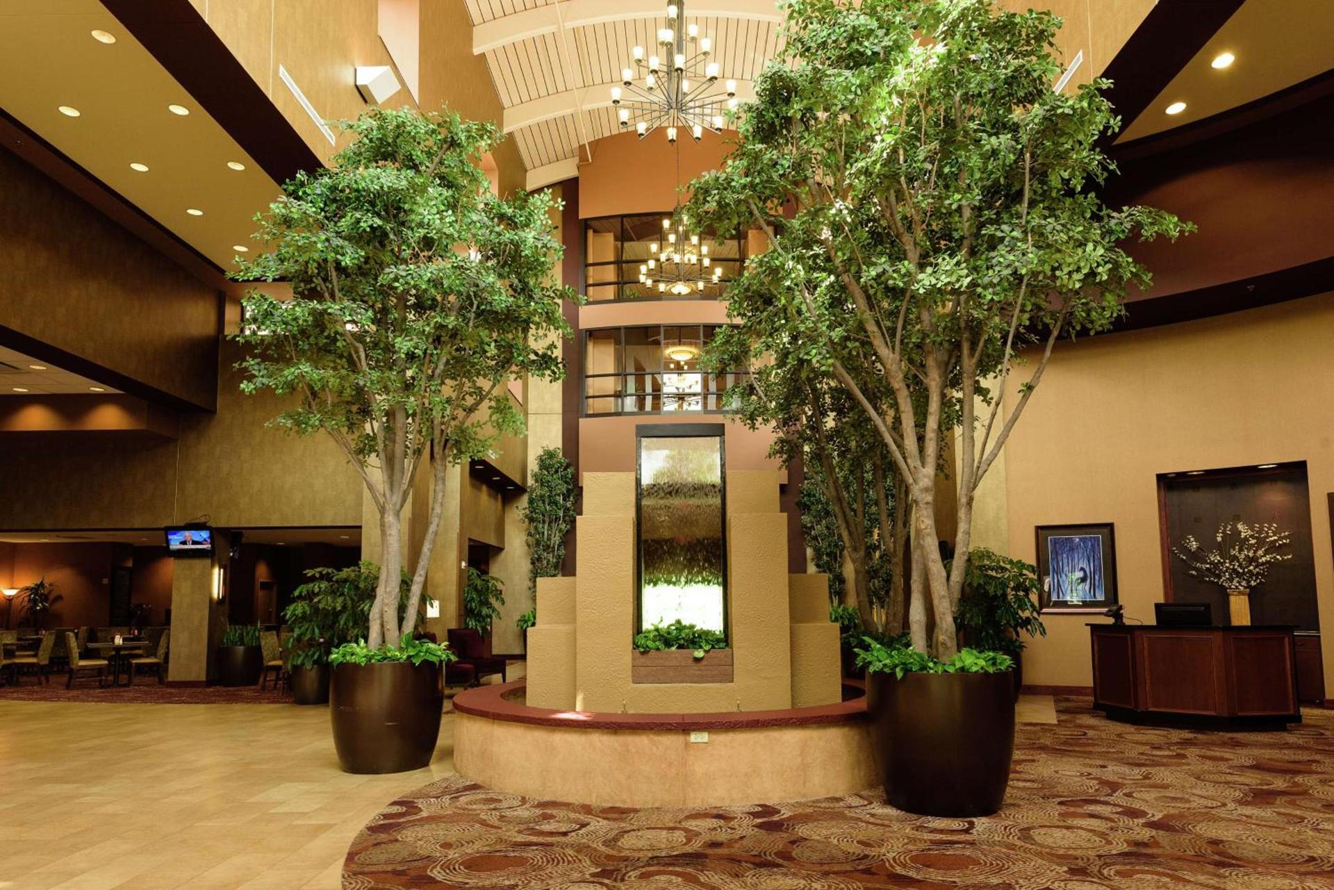 Embassy Suites by Hilton Minneapolis North photo 11