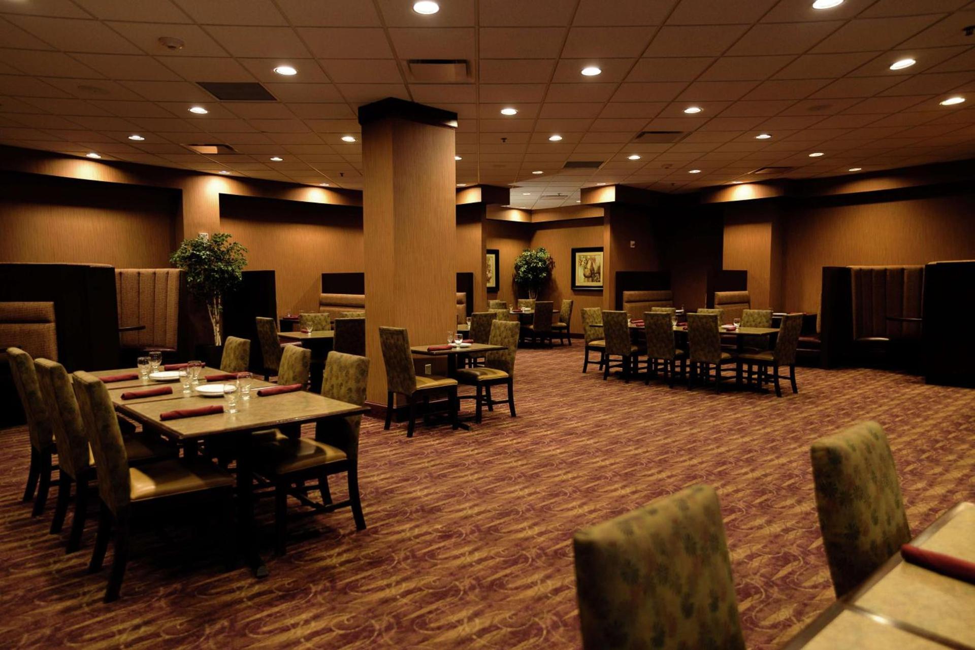 Embassy Suites by Hilton Minneapolis North photo 17