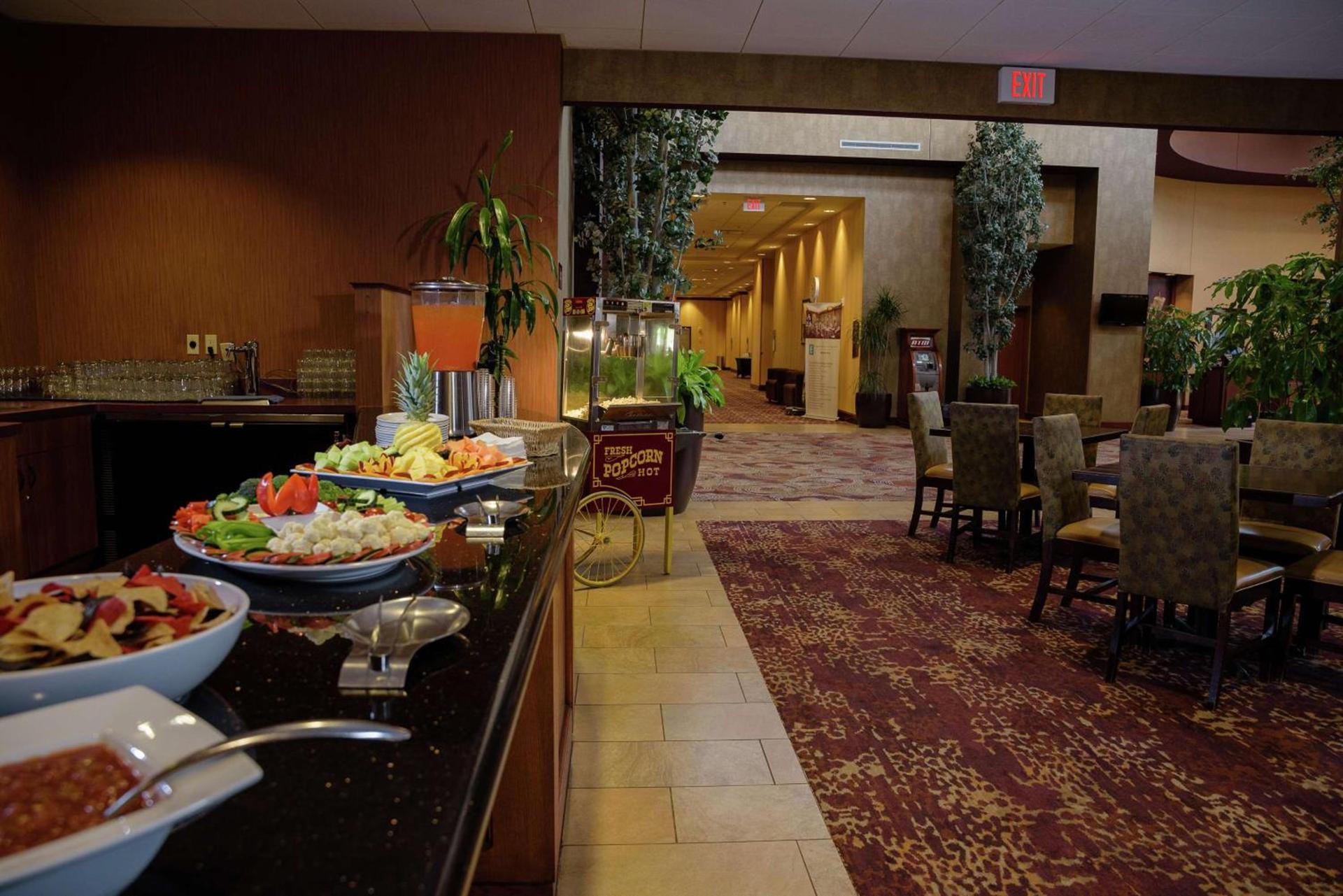 Embassy Suites by Hilton Minneapolis North photo 25