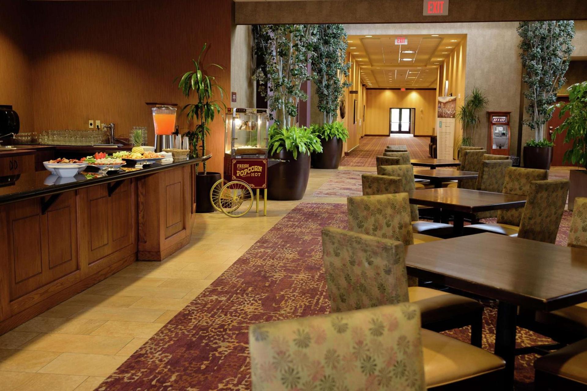 Embassy Suites by Hilton Minneapolis North photo 29