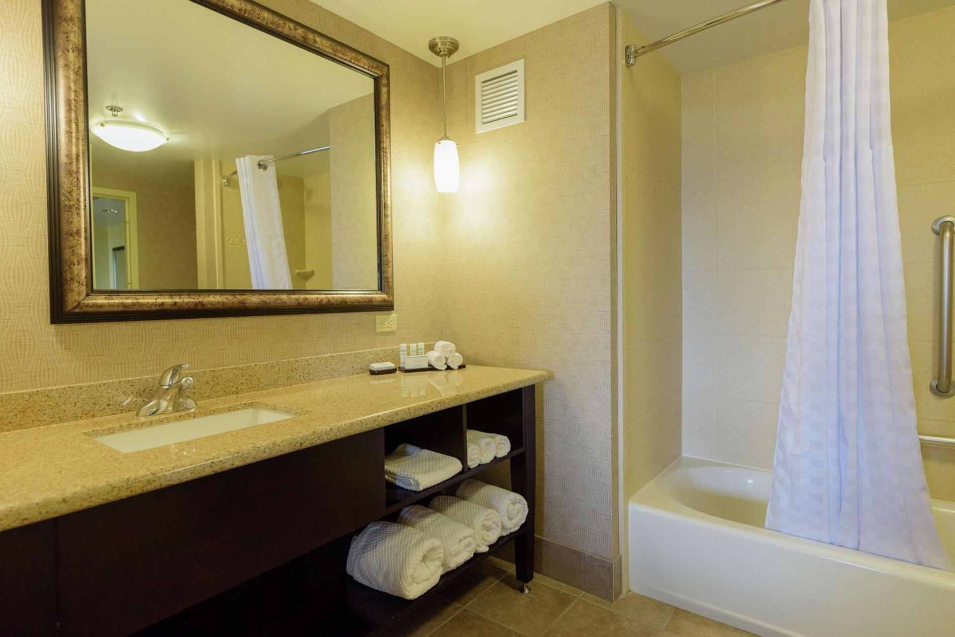 Embassy Suites by Hilton Minneapolis North photo 41