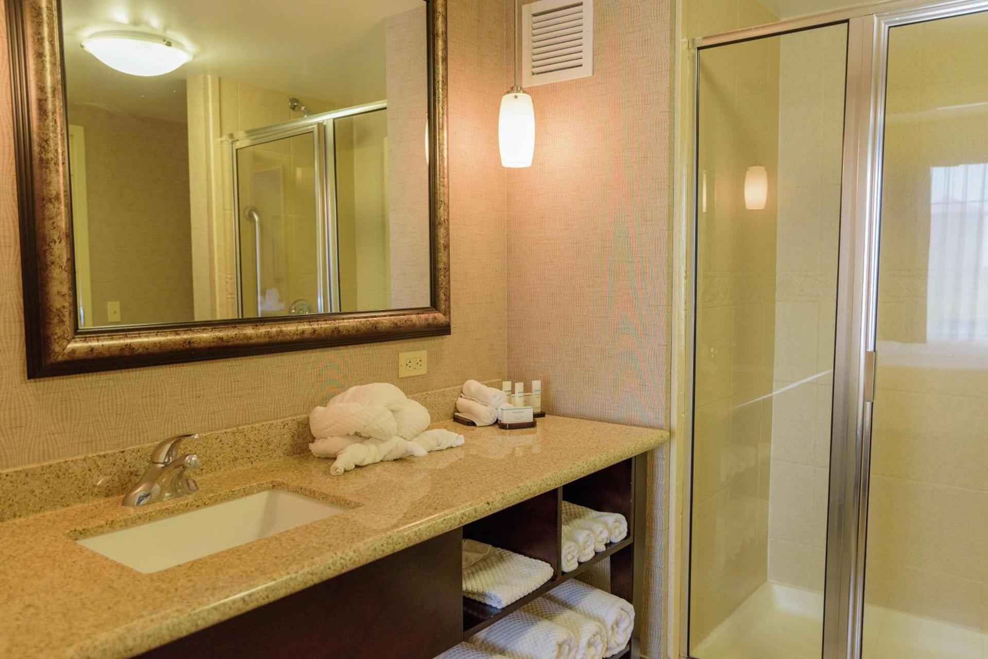 Embassy Suites by Hilton Minneapolis North photo 40