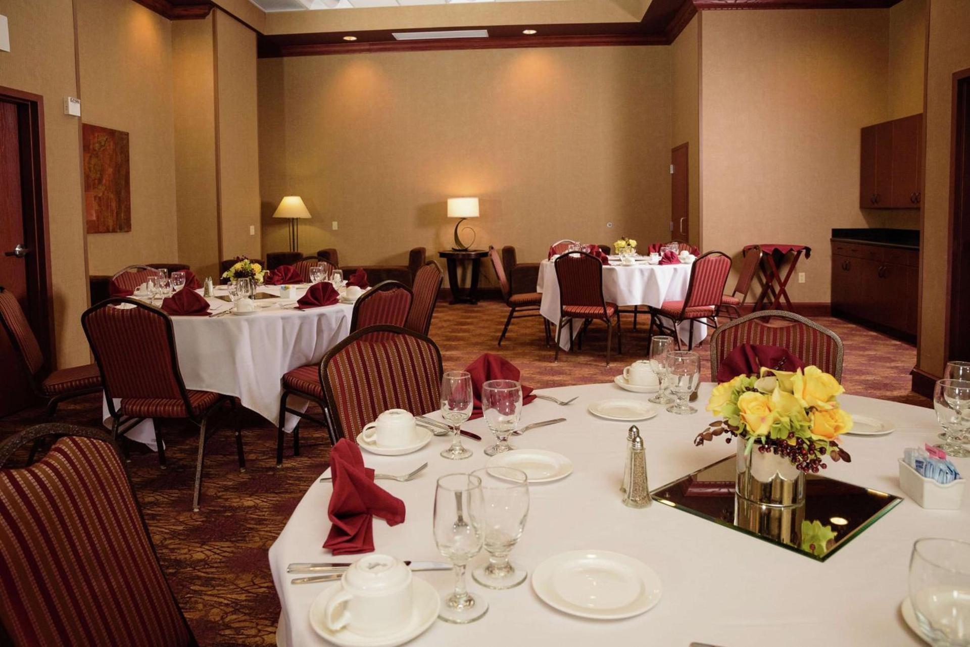 Embassy Suites by Hilton Minneapolis North photo 44