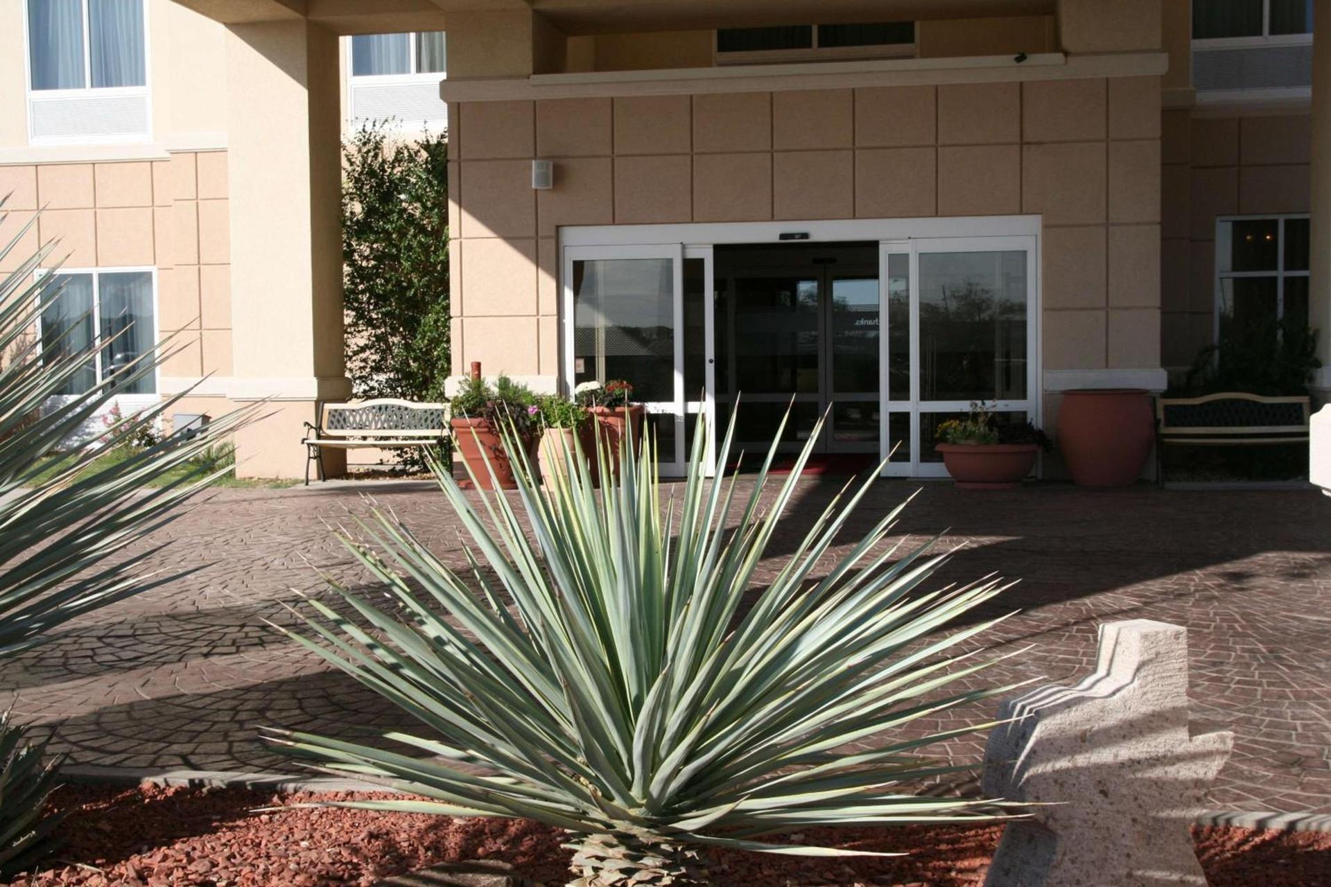 Hampton Inn Alpine photo 3