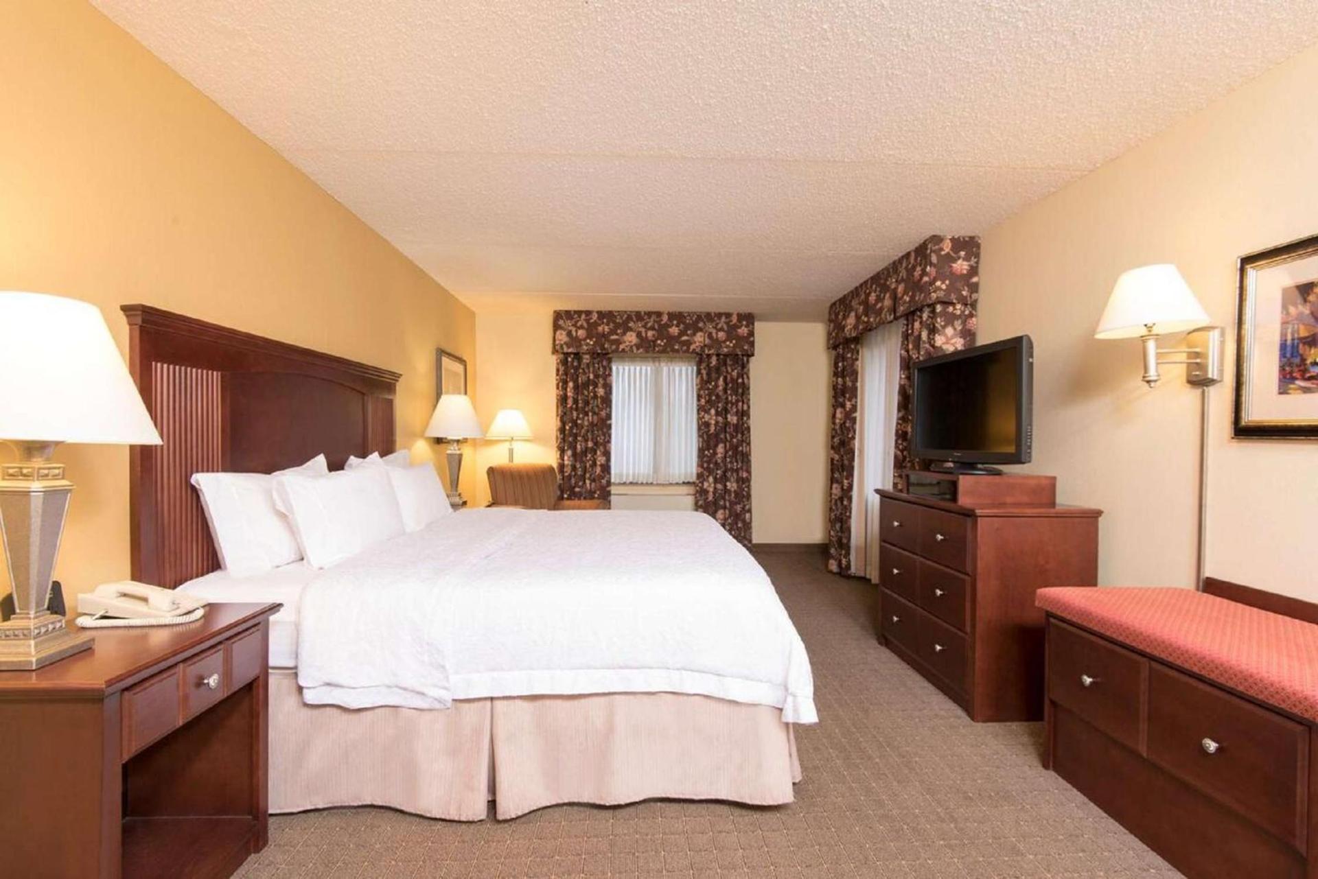 Hampton Inn Schenectady Downtown photo 30