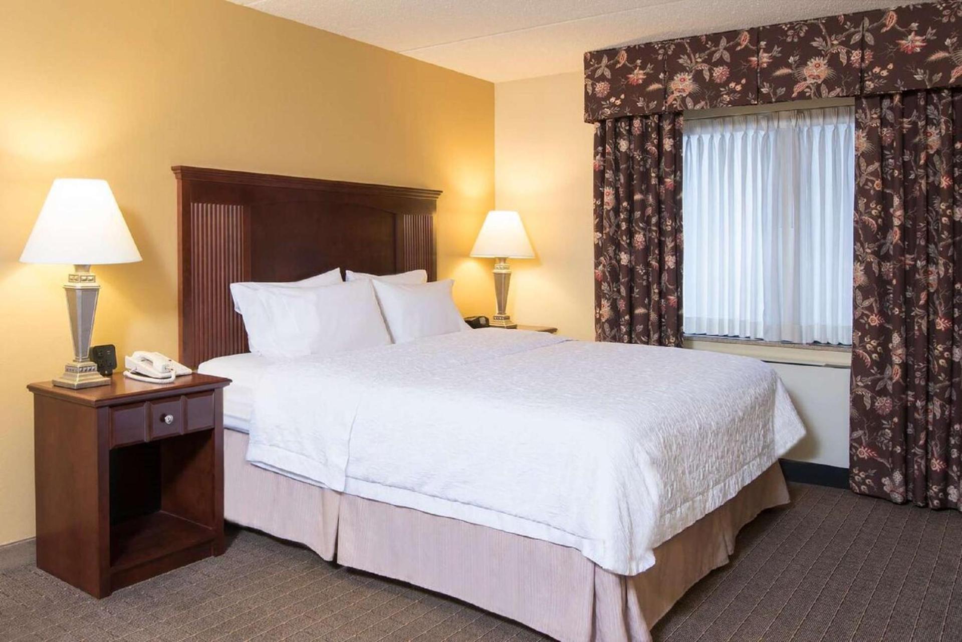 Hampton Inn Schenectady Downtown photo 28