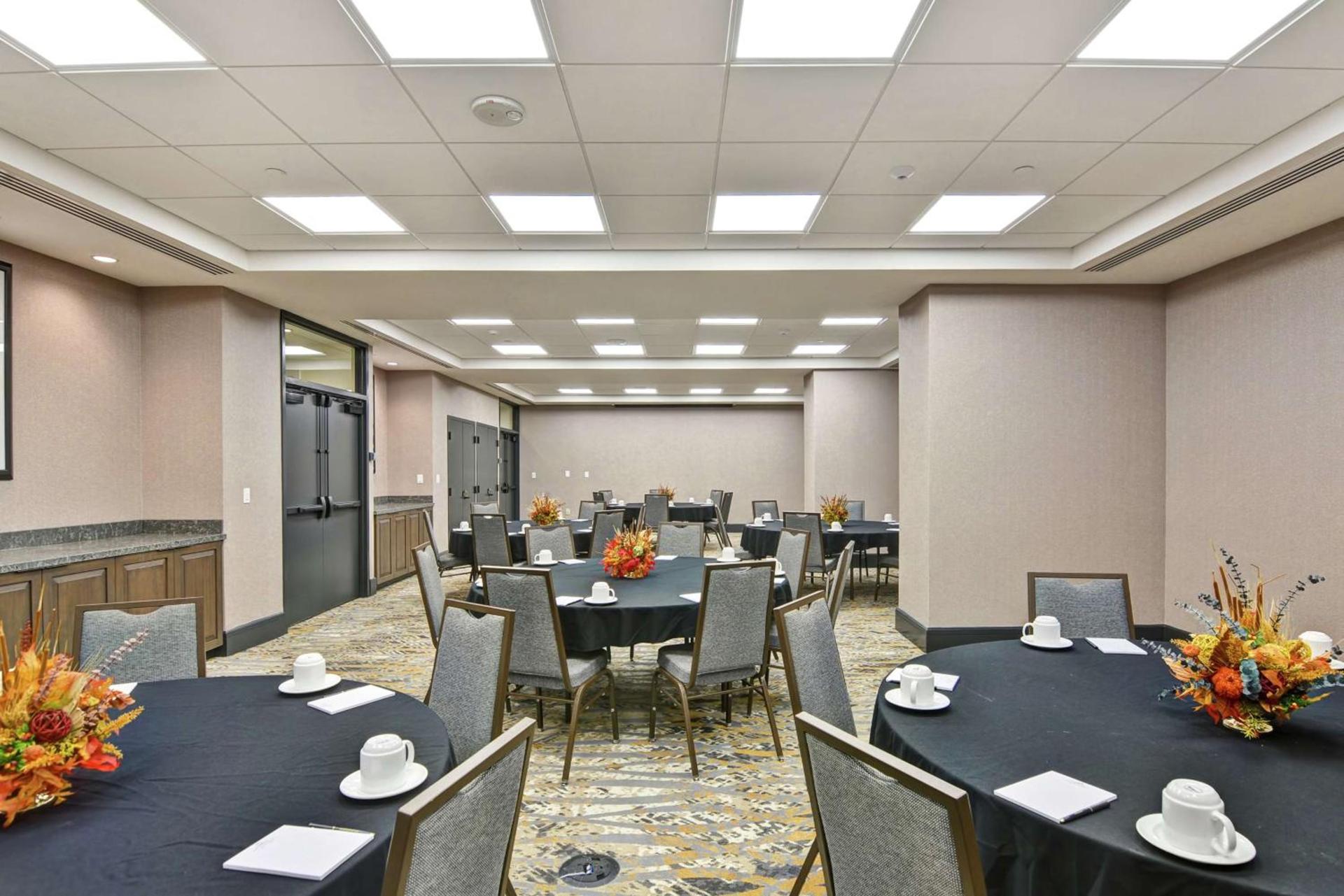 The Cincinnatian Curio Collection by Hilton photo 33