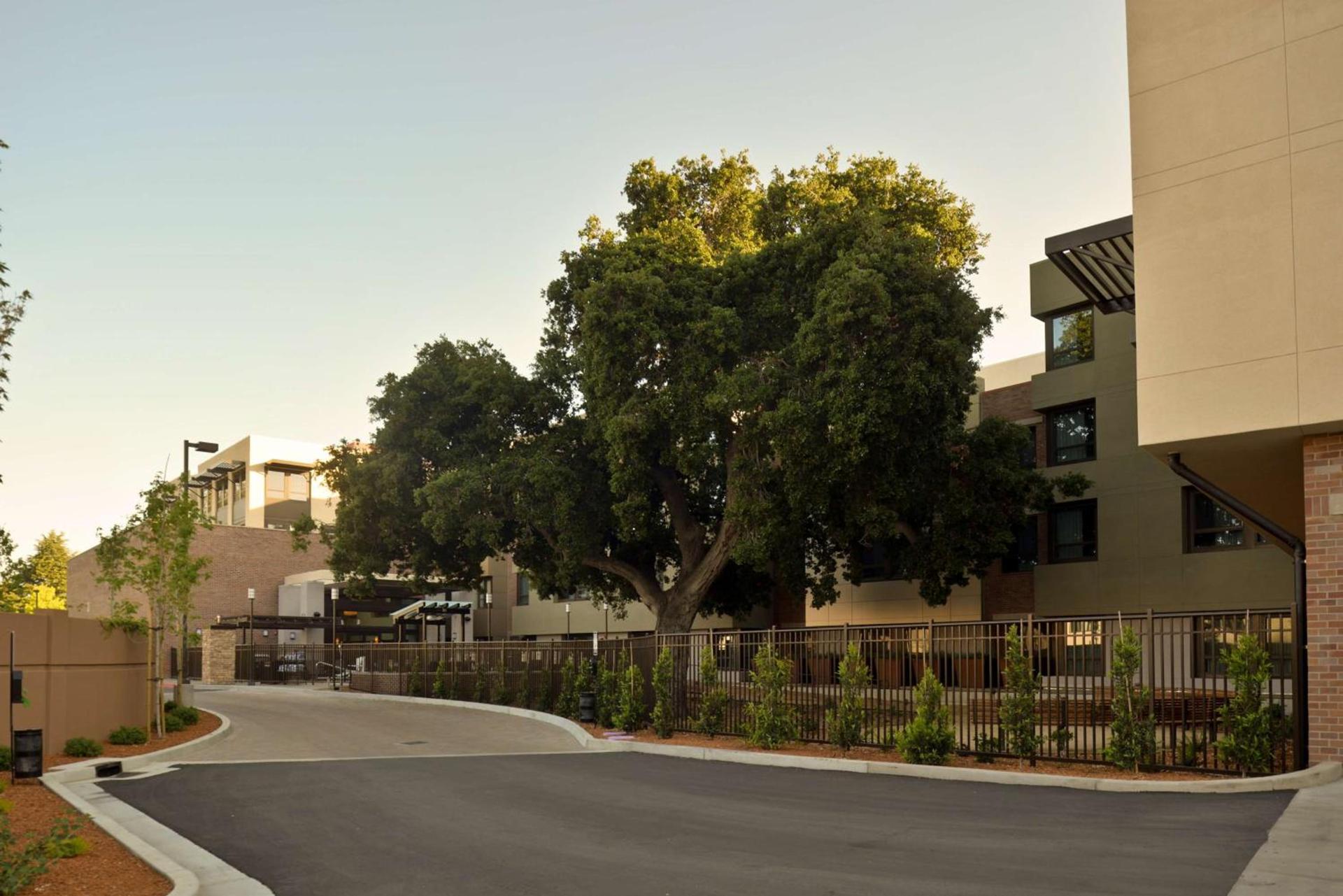 Homewood Suites by Hilton Palo Alto photo 6