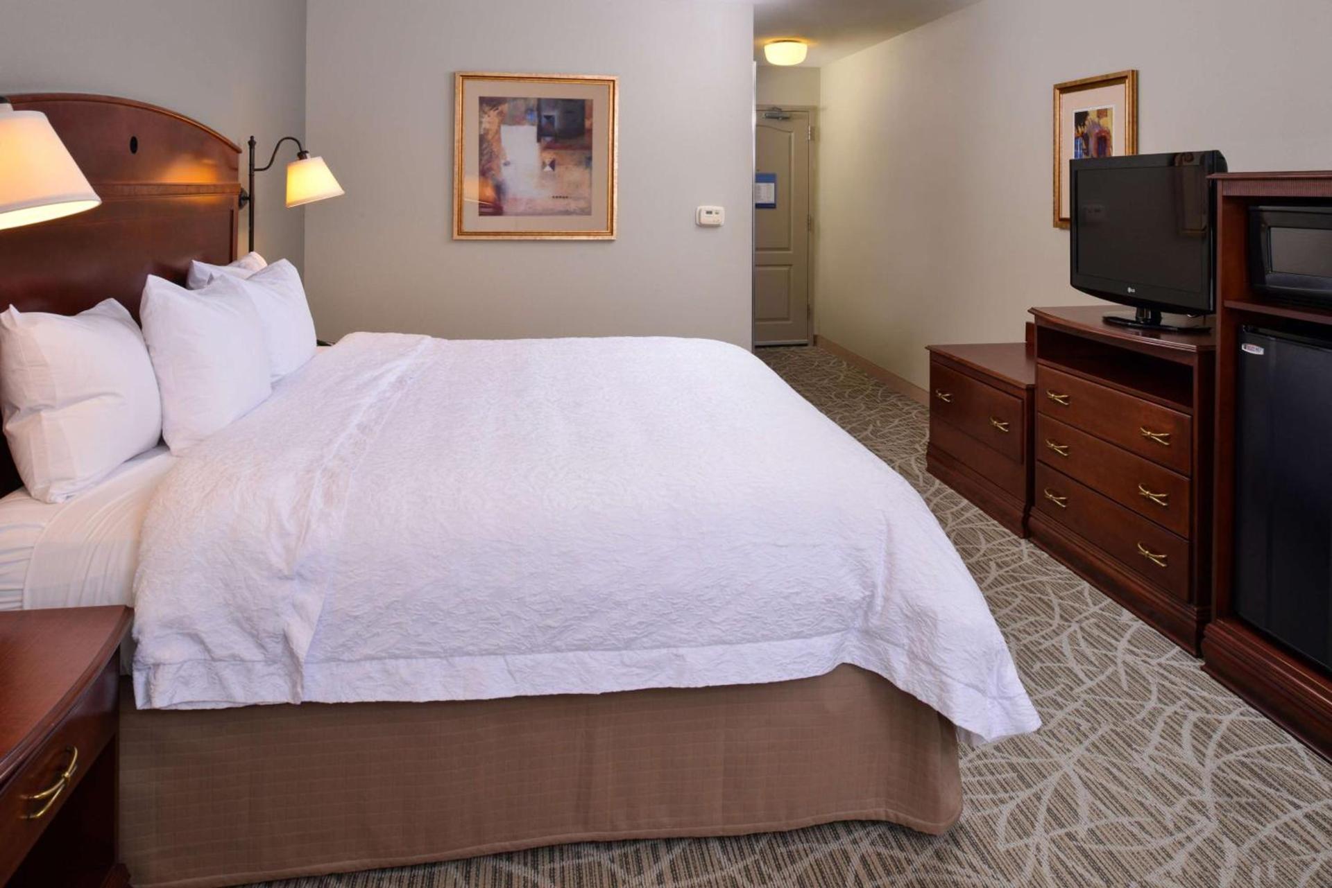 Hampton Inn by Hilton Litchfield photo 24