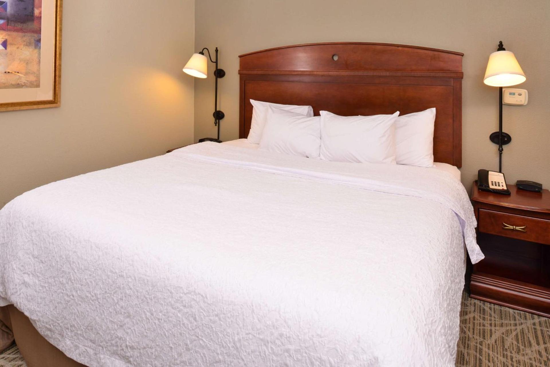 Hampton Inn by Hilton Litchfield photo 43
