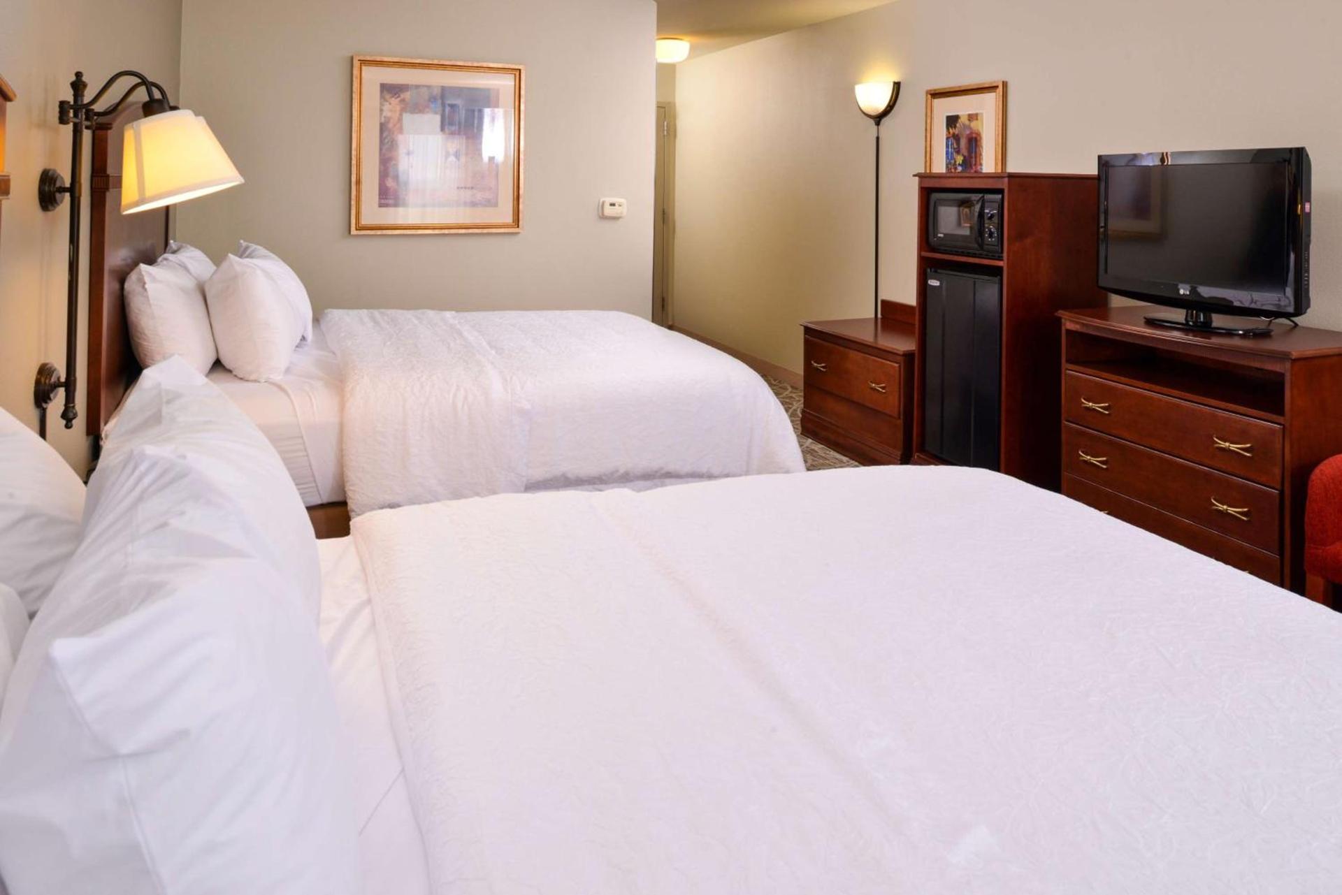 Hampton Inn by Hilton Litchfield photo 45