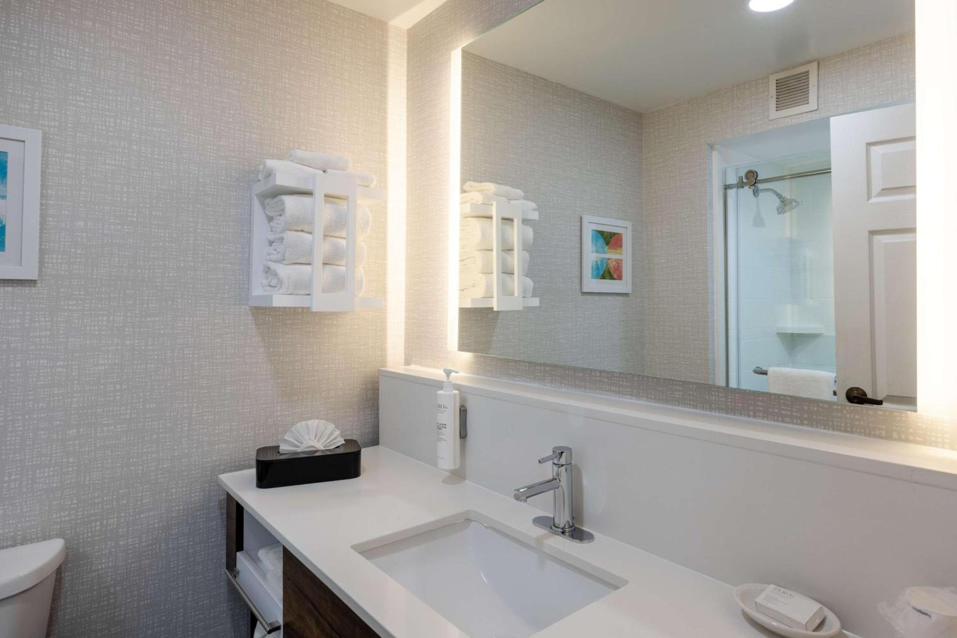 Hampton Inn & Suites Alpharetta Roswell photo 52