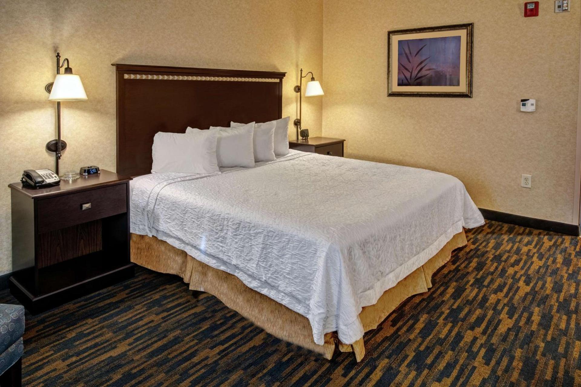 Hampton Inn Roanoke Rapids photo 18