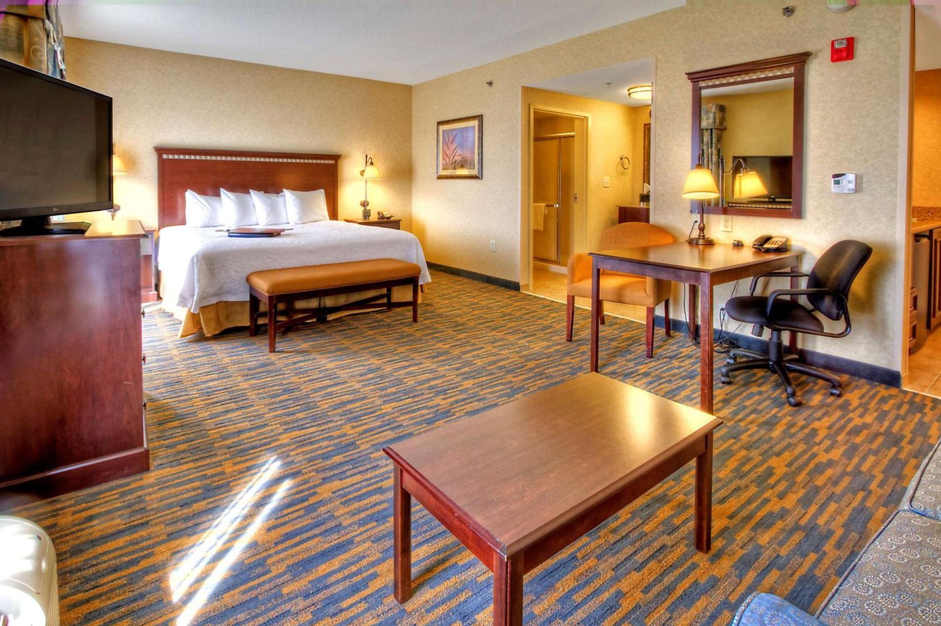 Hampton Inn Roanoke Rapids photo 32