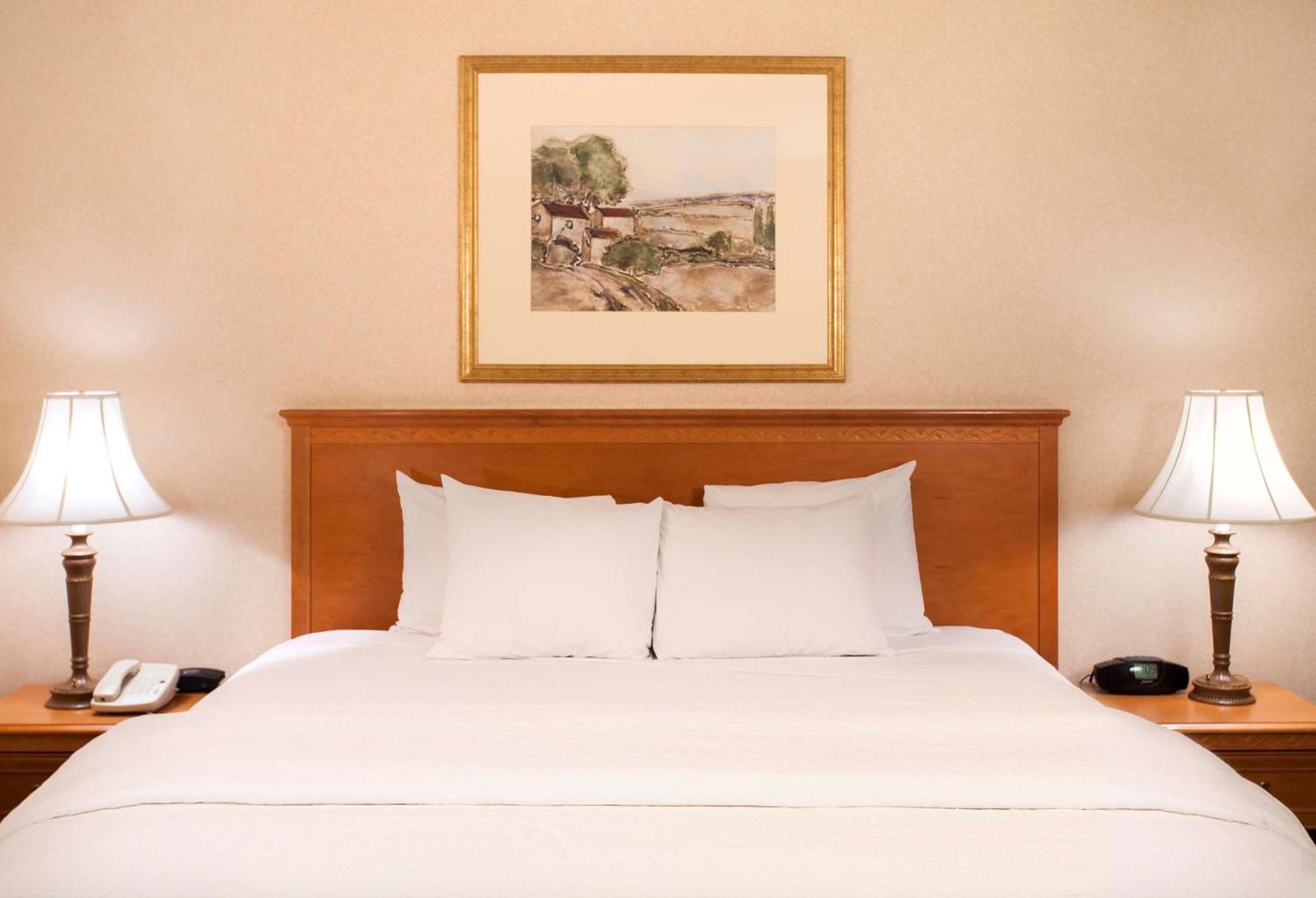 Hampton Inn & Suites Addison photo 14