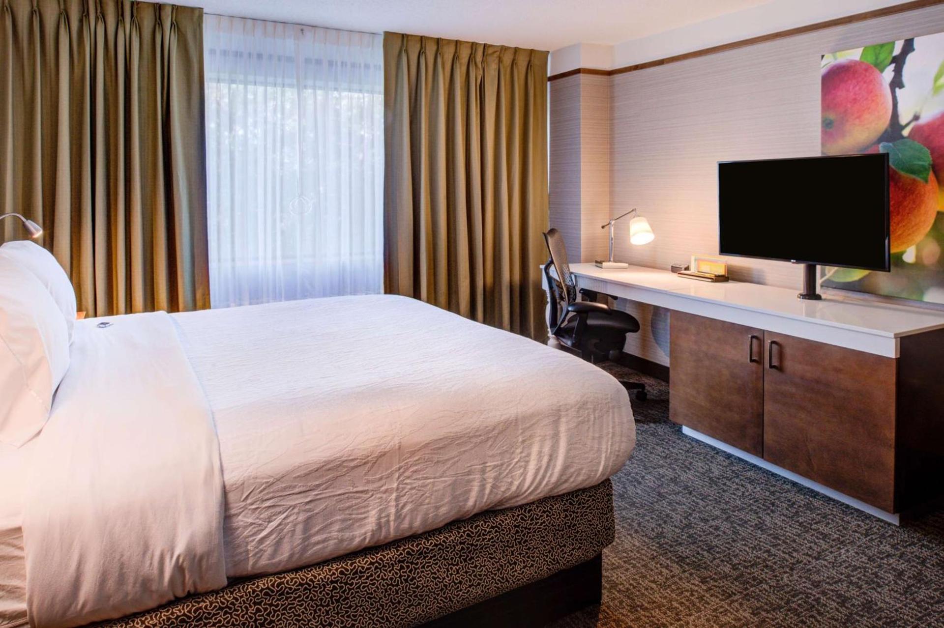 Hilton Garden Inn Detroit Southfield photo 46