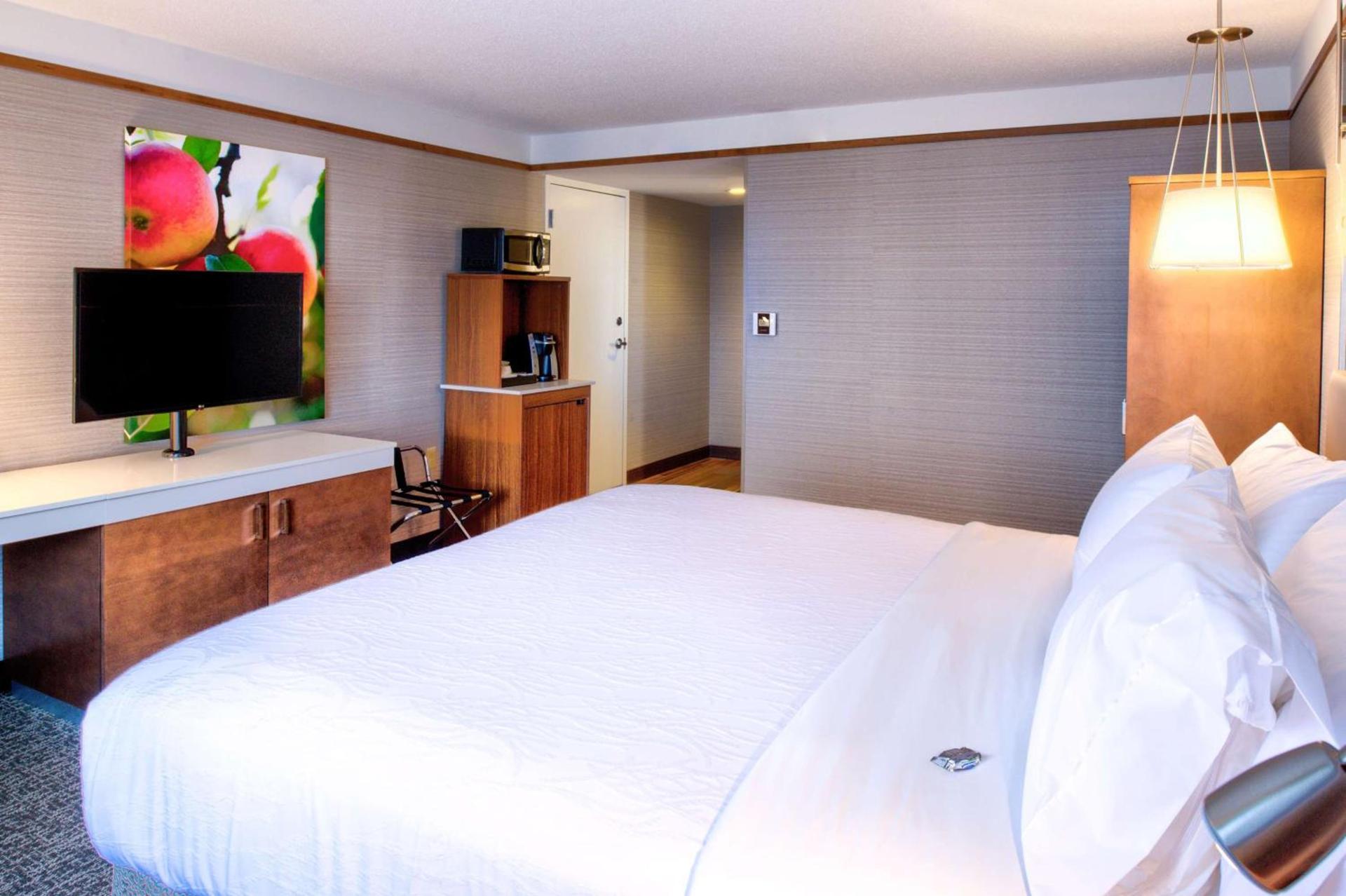 Hilton Garden Inn Detroit Southfield photo 49