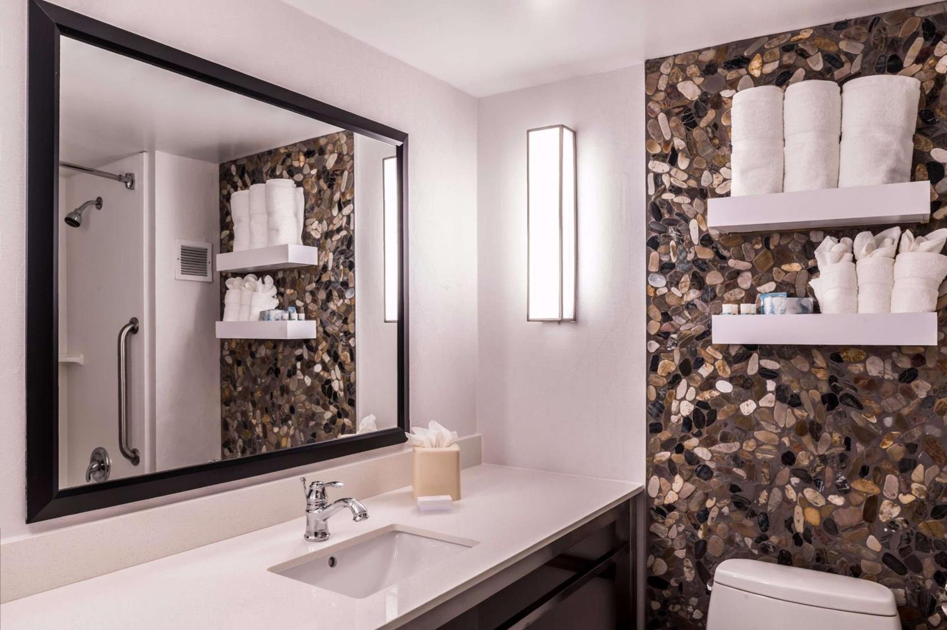 Hilton Garden Inn Detroit Southfield photo 51