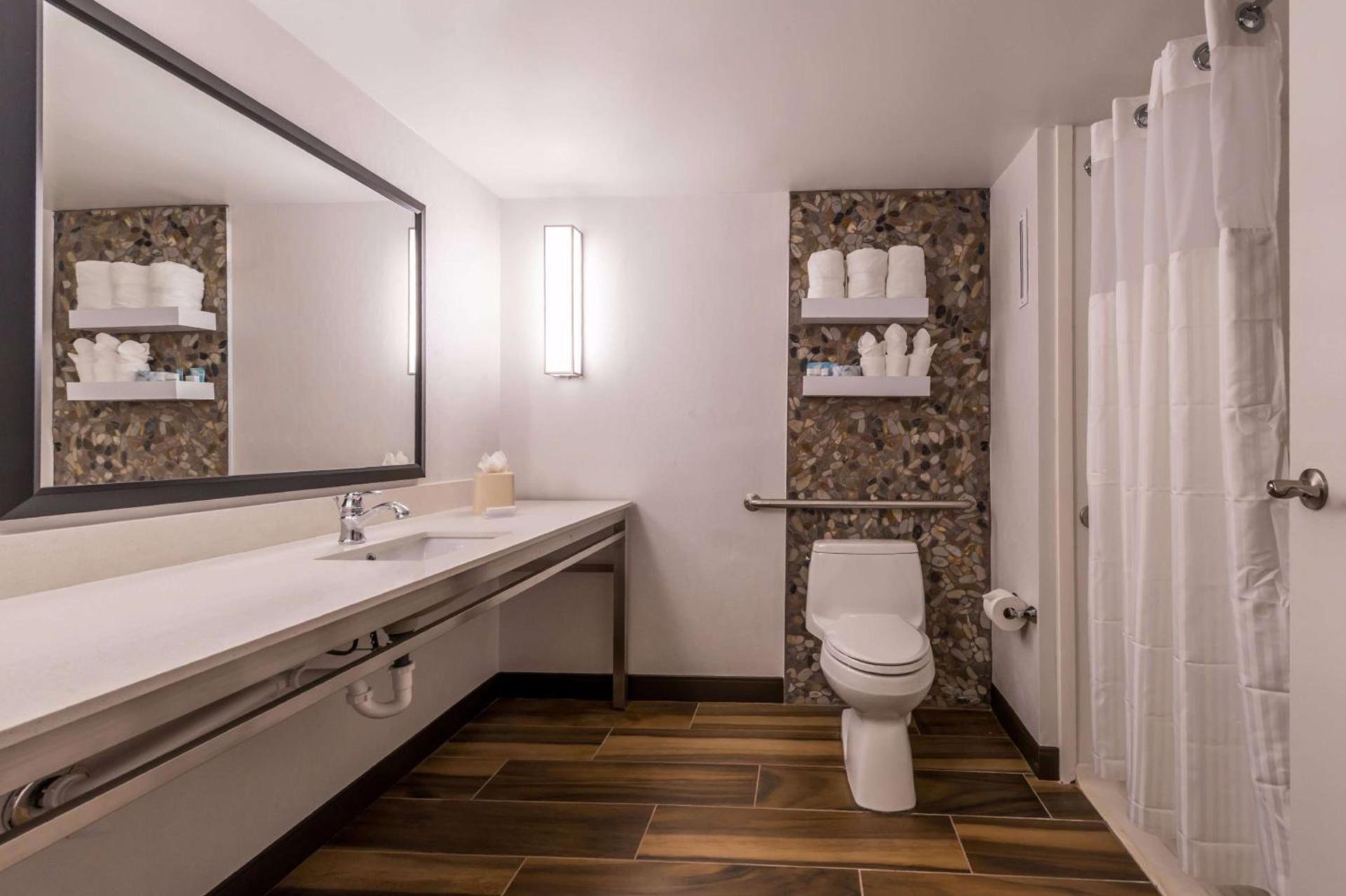 Hilton Garden Inn Detroit Southfield photo 61