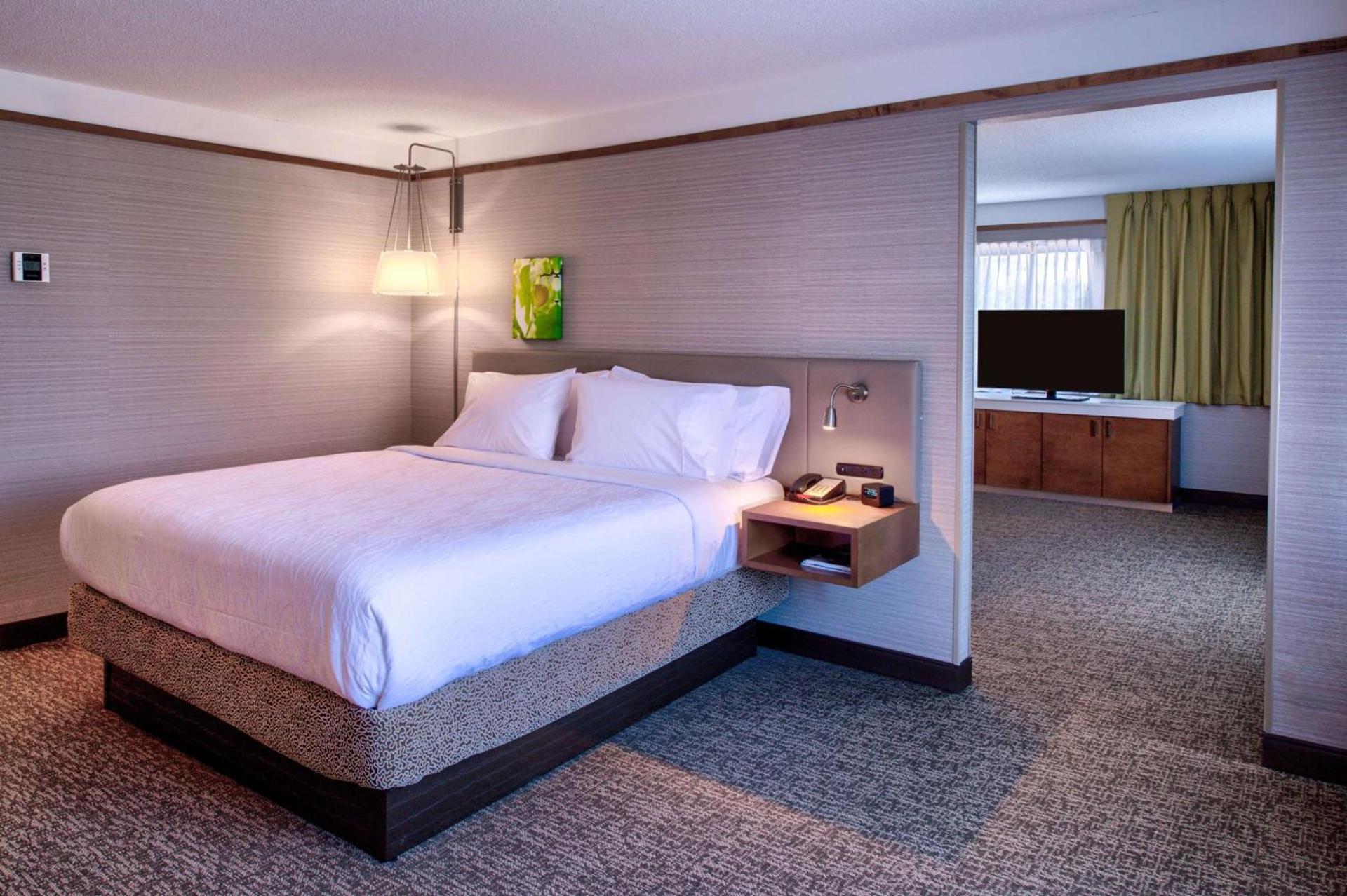 Hilton Garden Inn Detroit Southfield photo 79