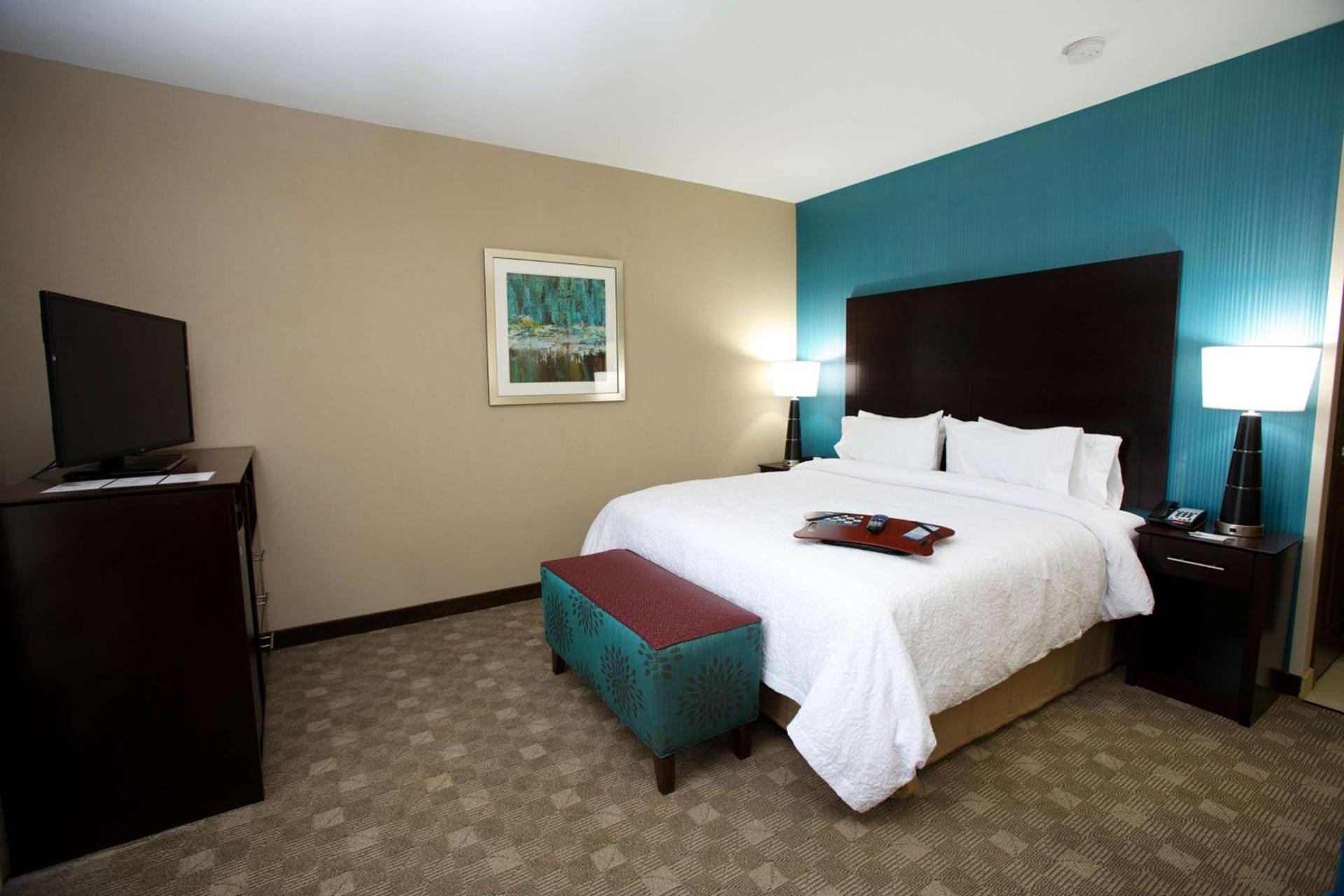 Hampton Inn and Suites Missouri City photo 33