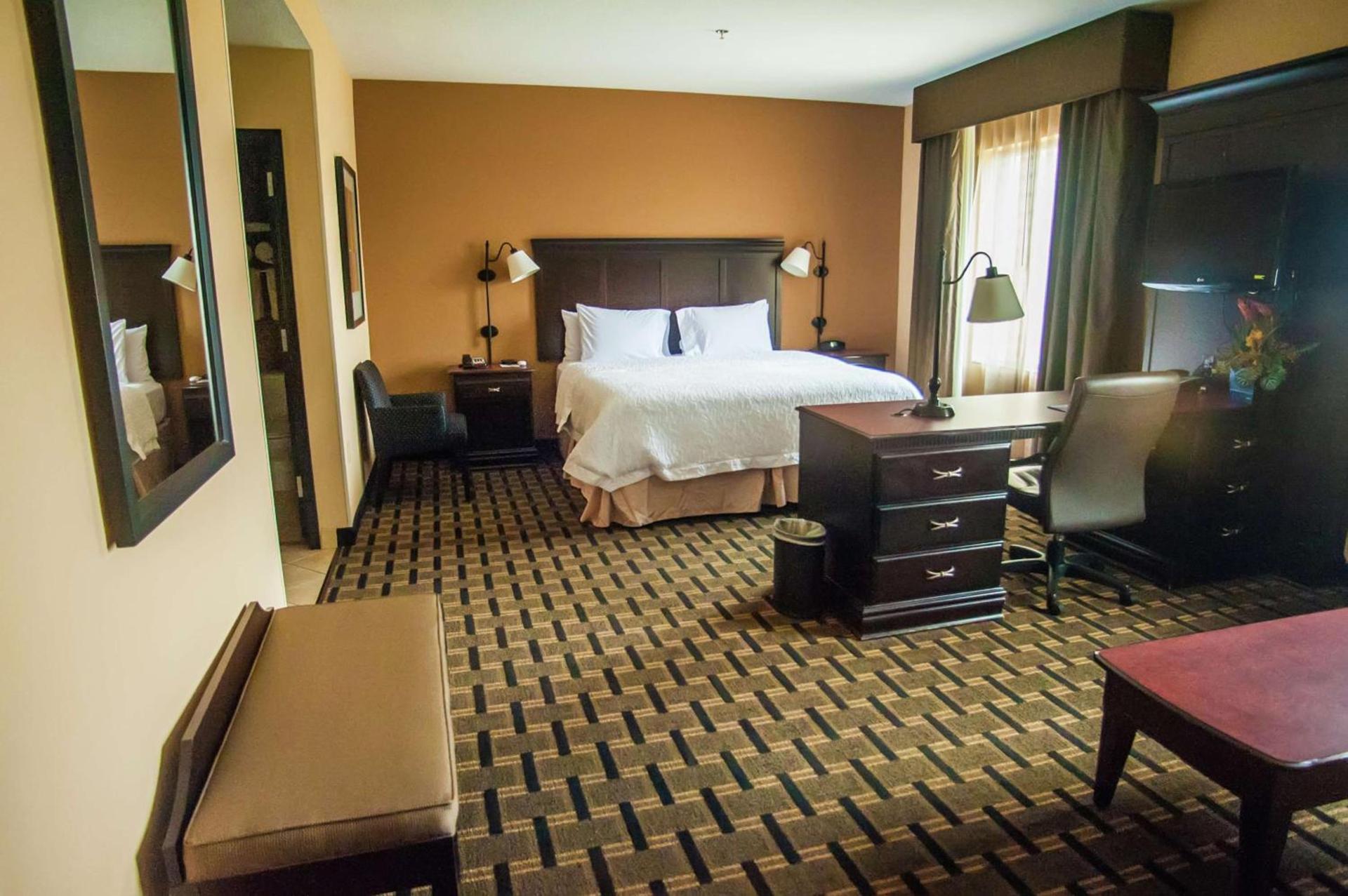 Hampton Inn & Suites Palestine photo 10